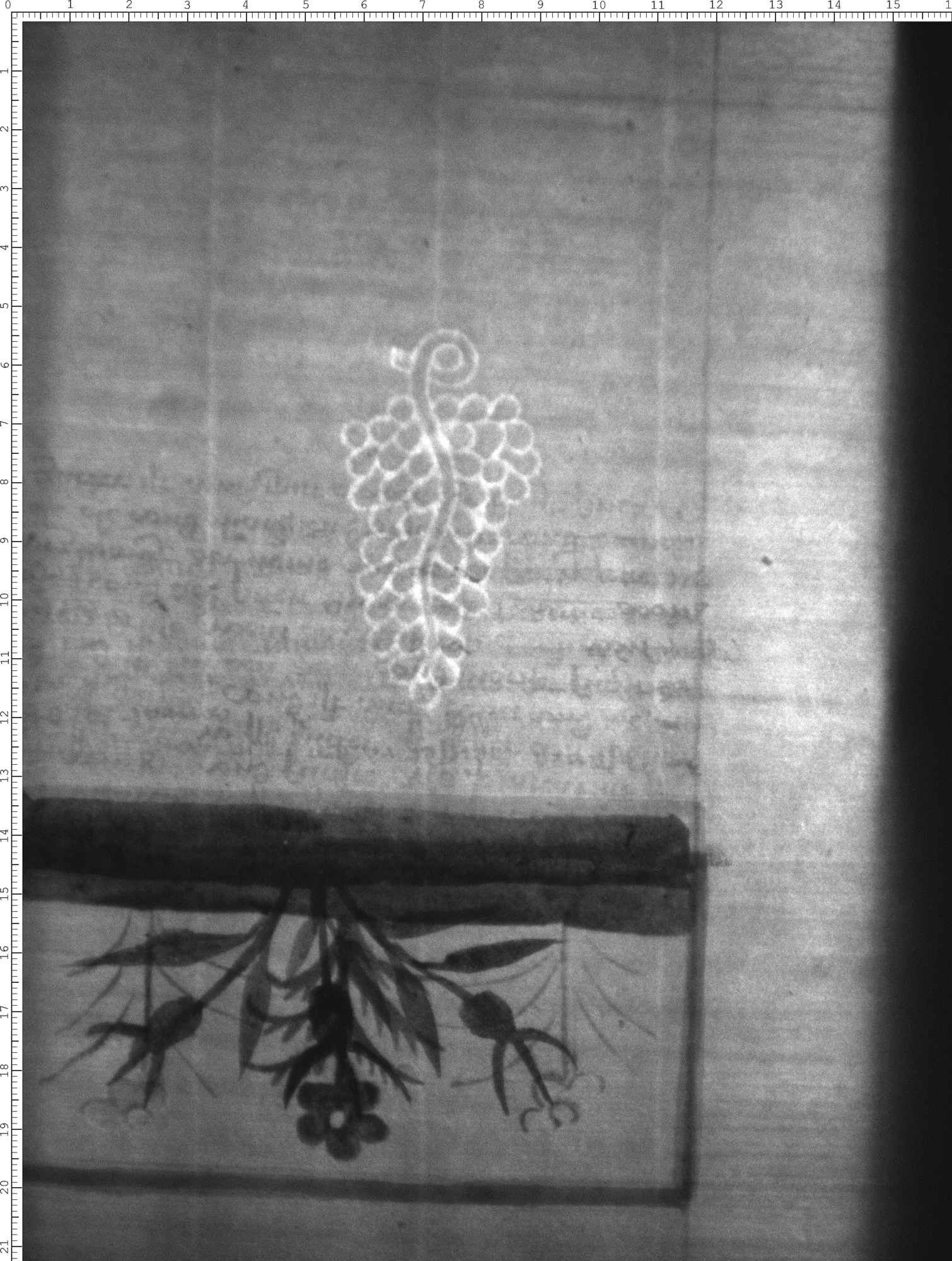 Watermark