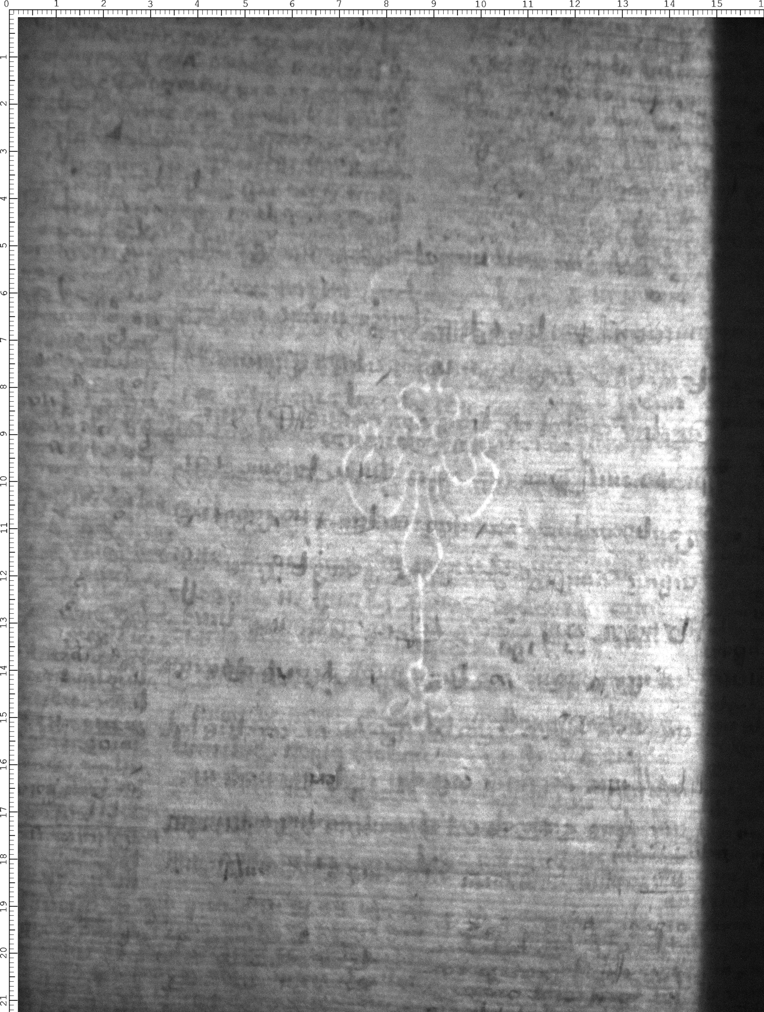 Watermark