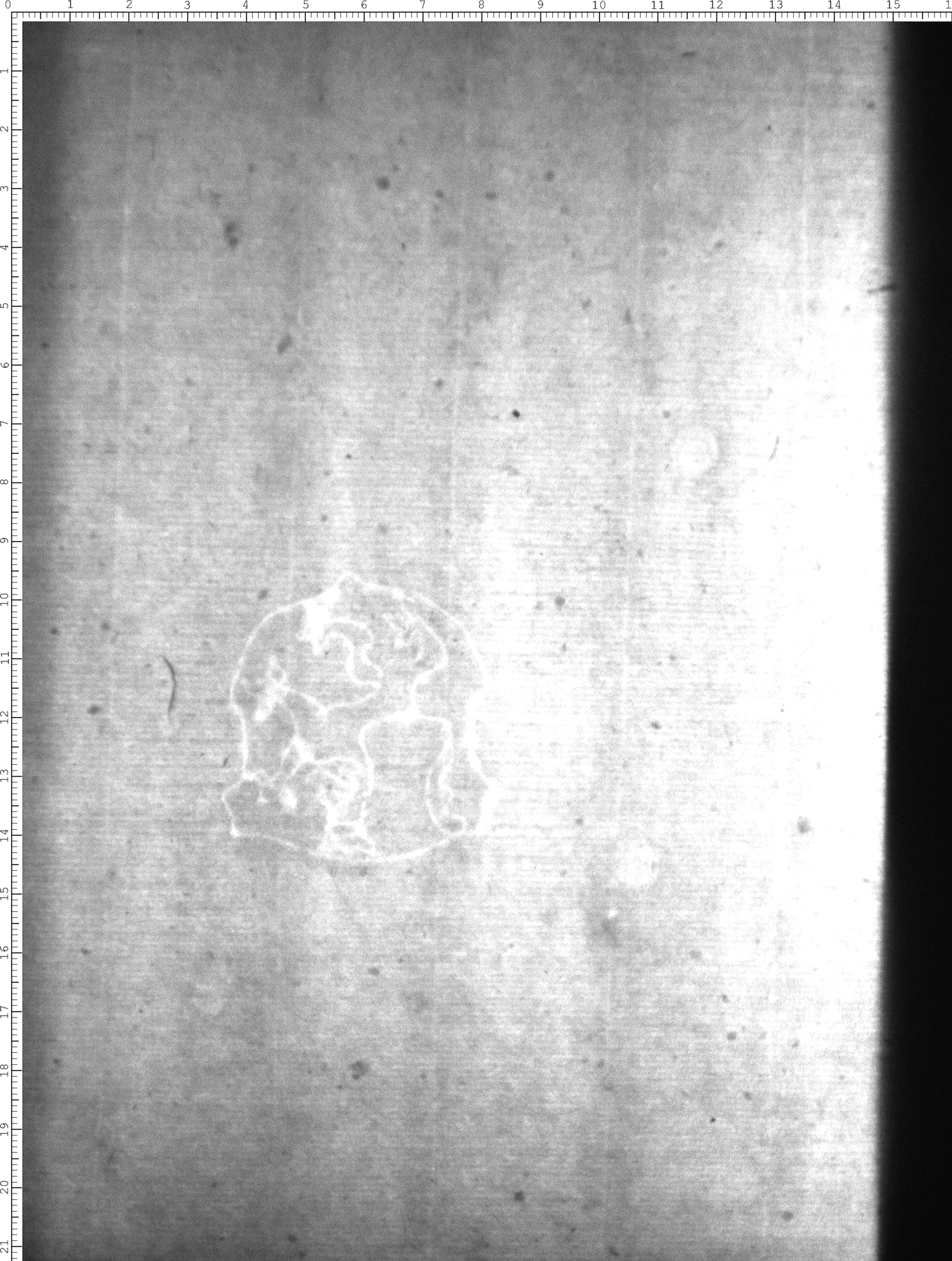 Watermark