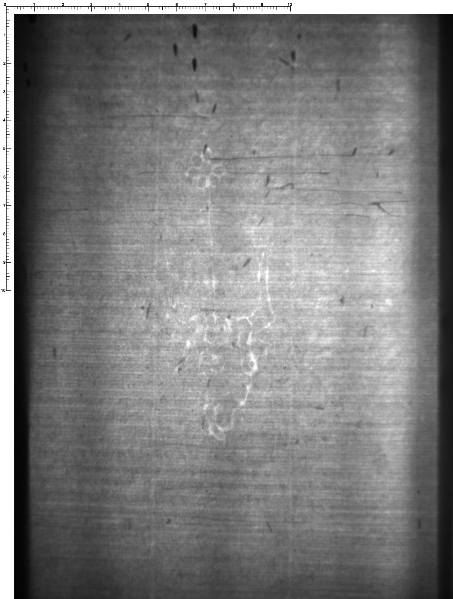 Watermark