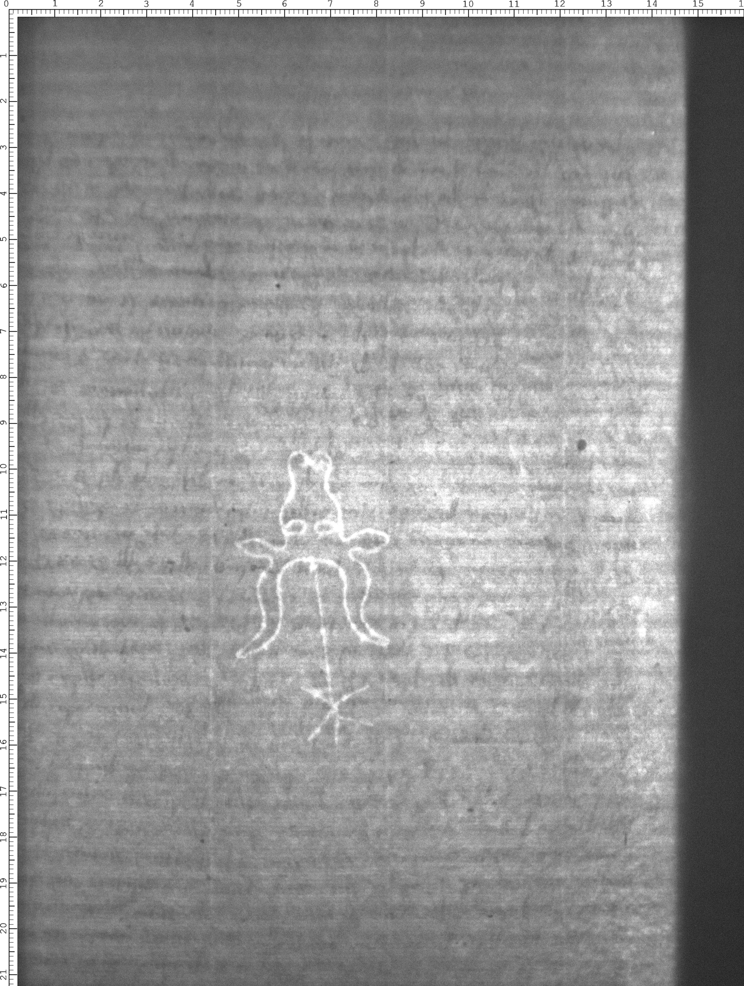 Watermark