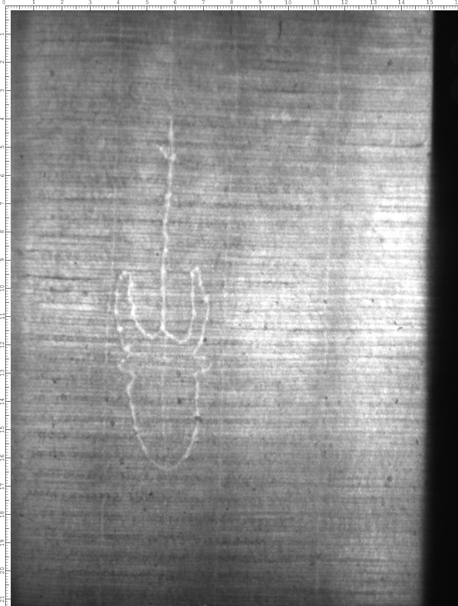 Watermark