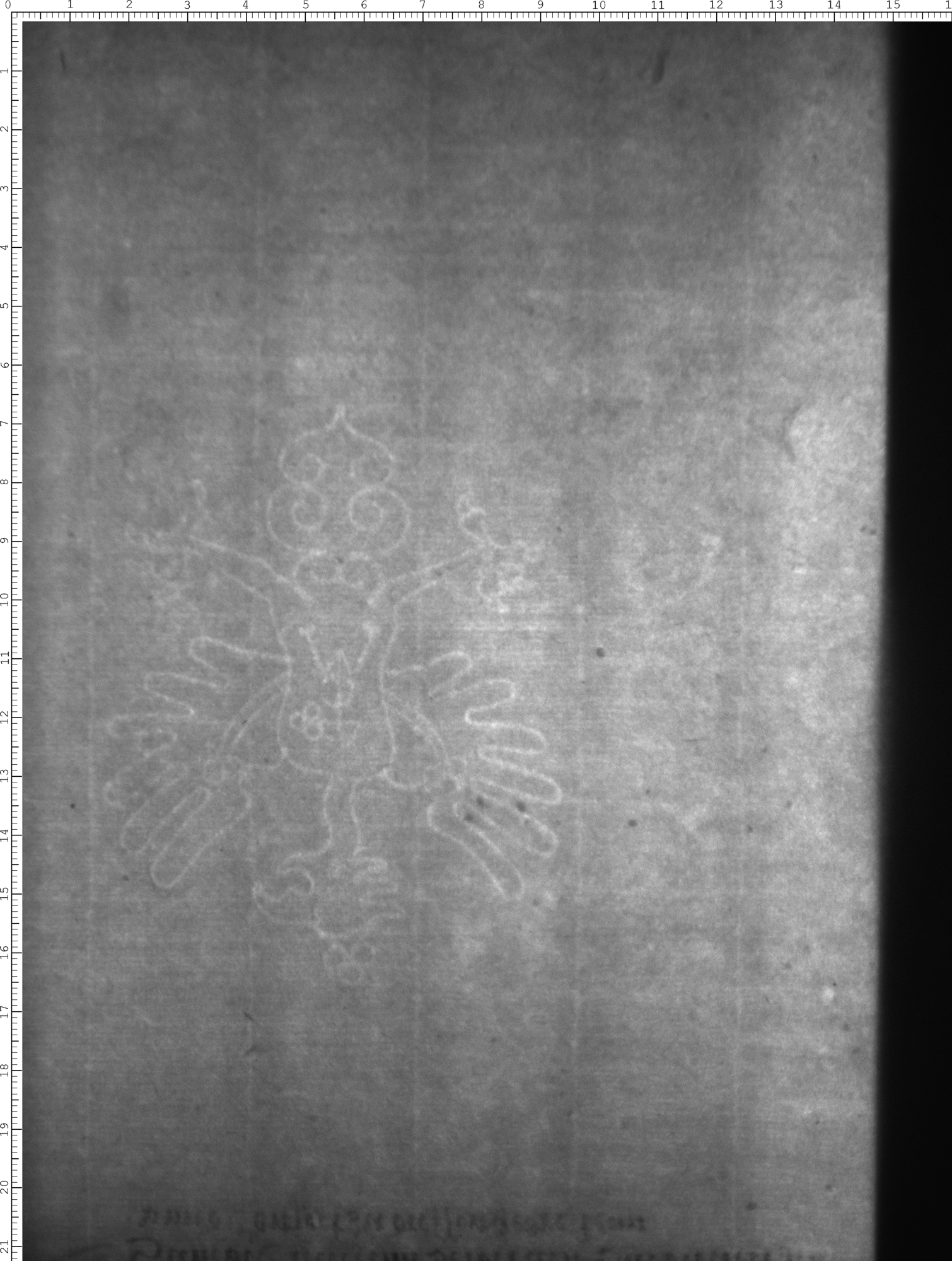 Watermark