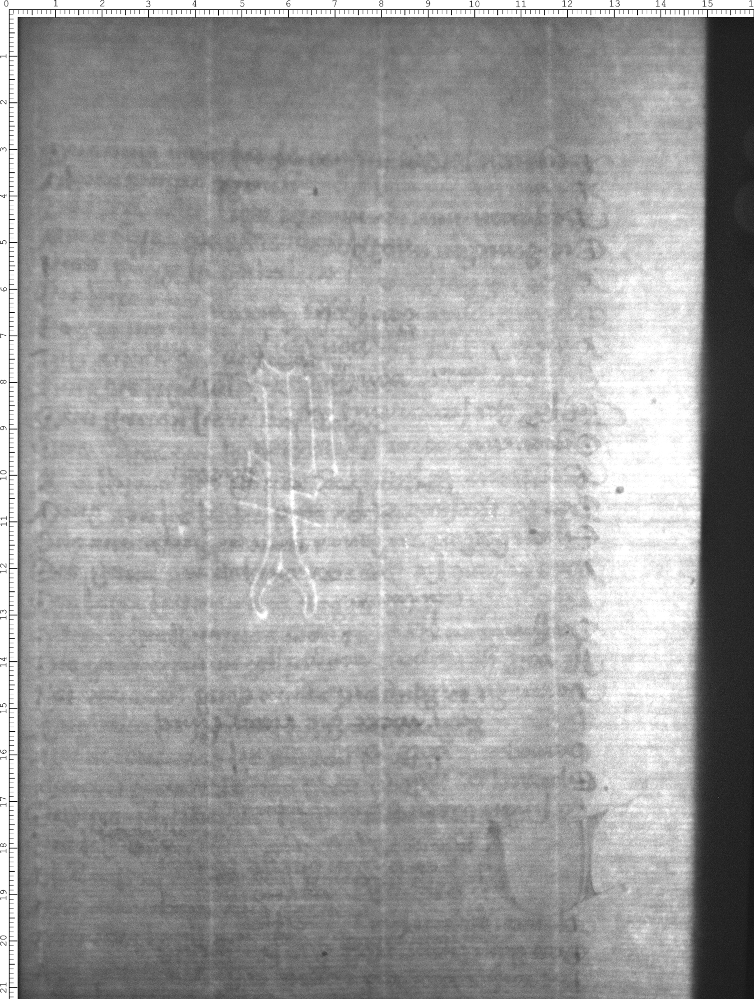 Watermark