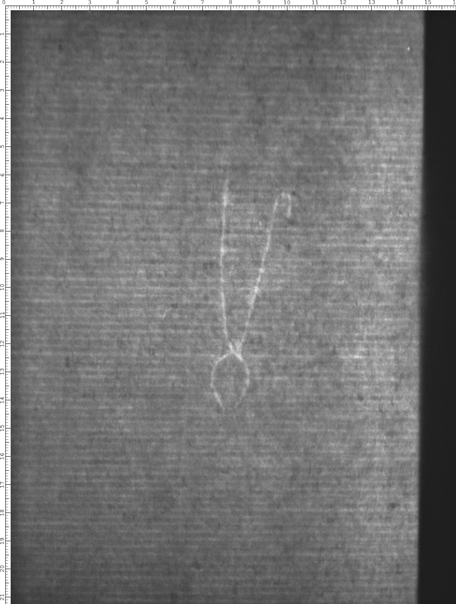 Watermark