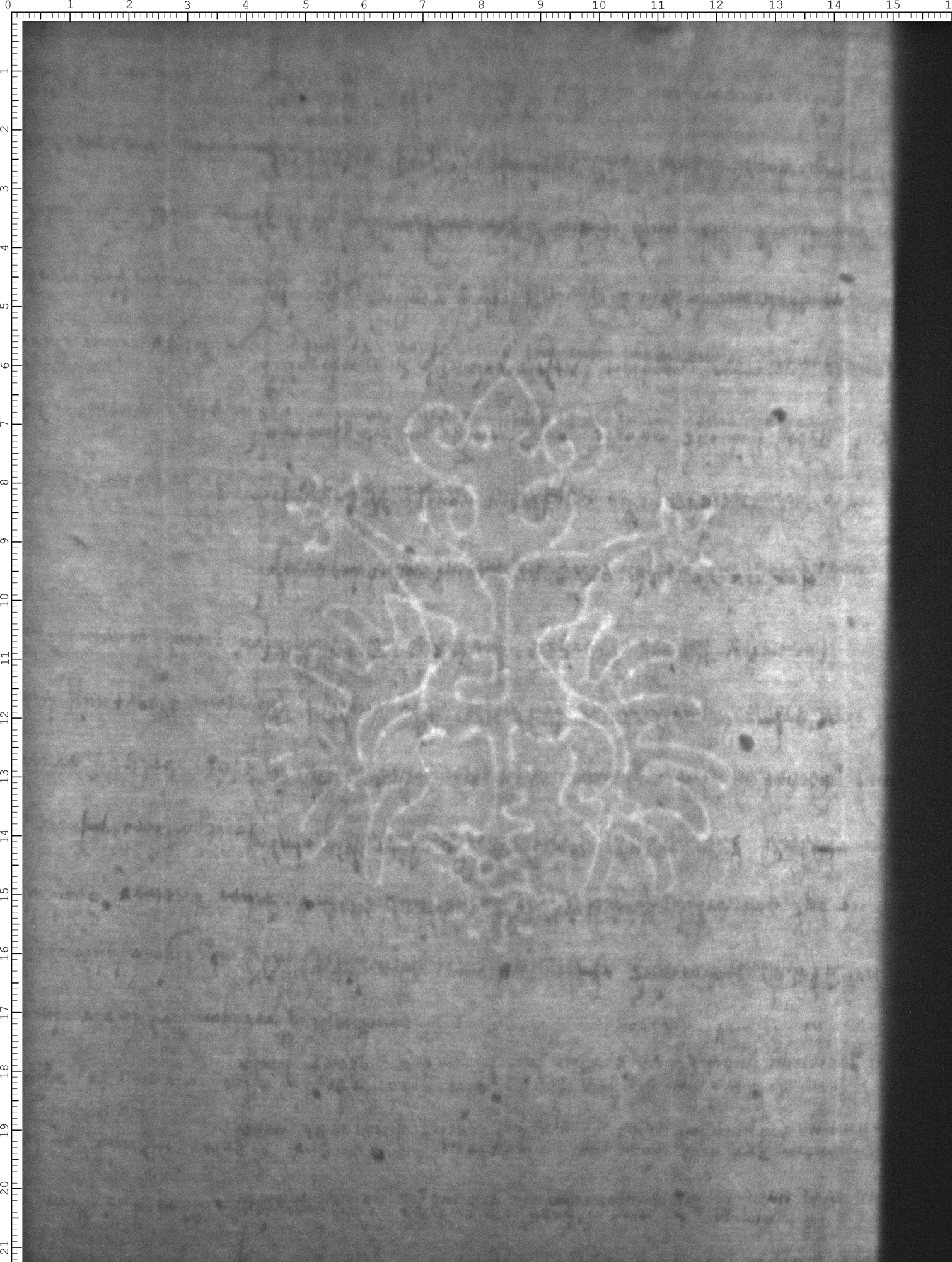 Watermark