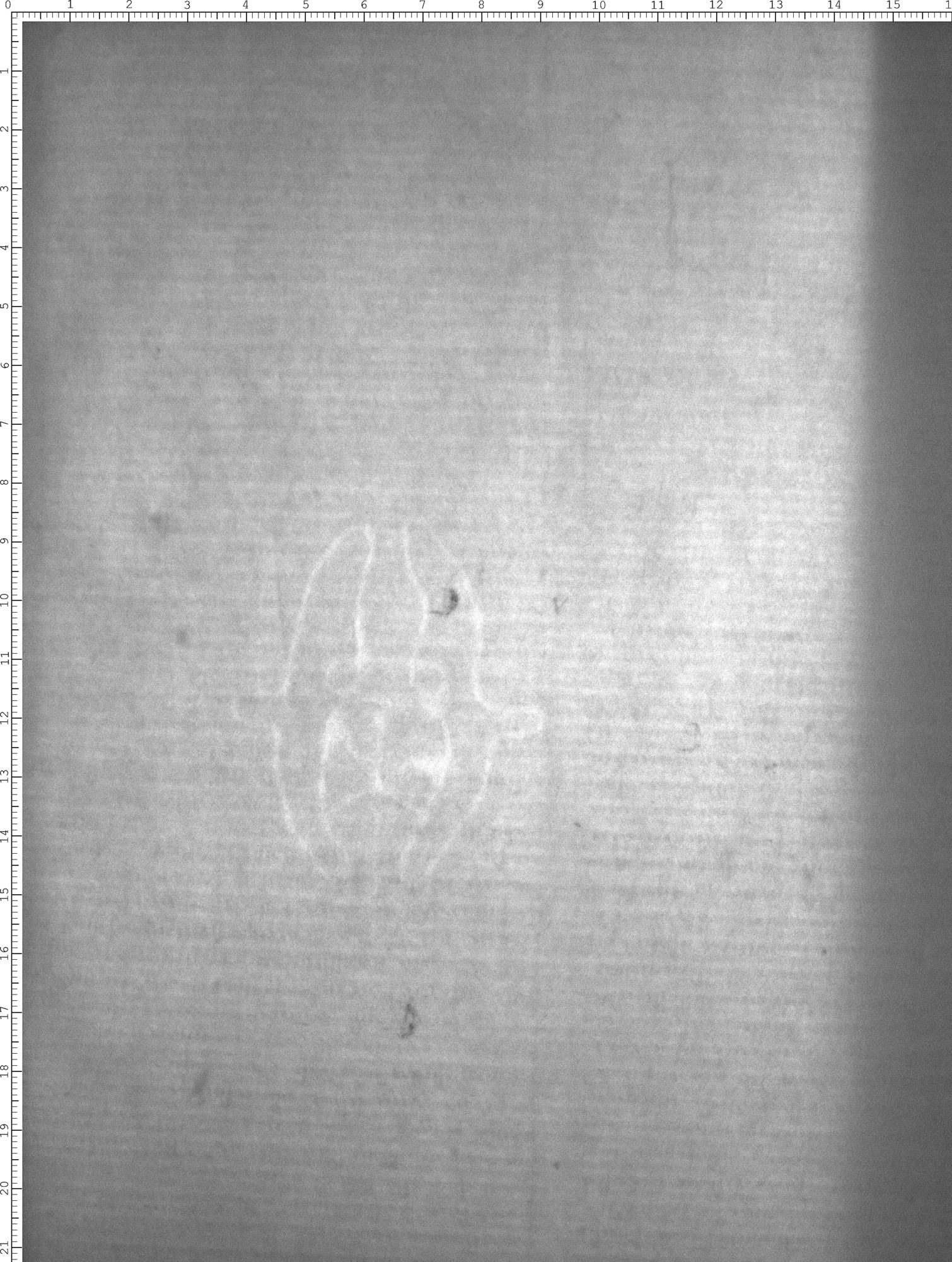 Watermark
