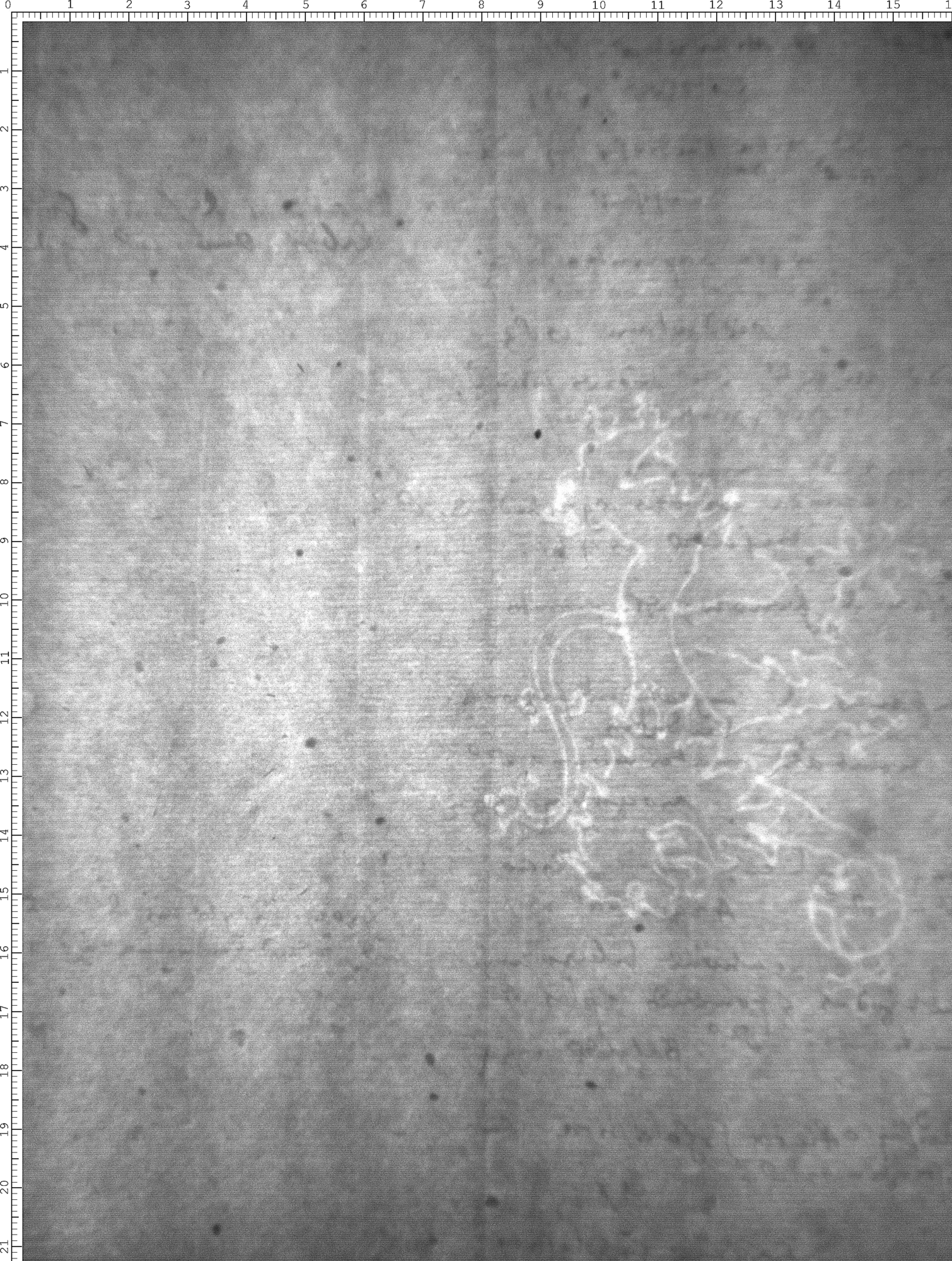 Watermark
