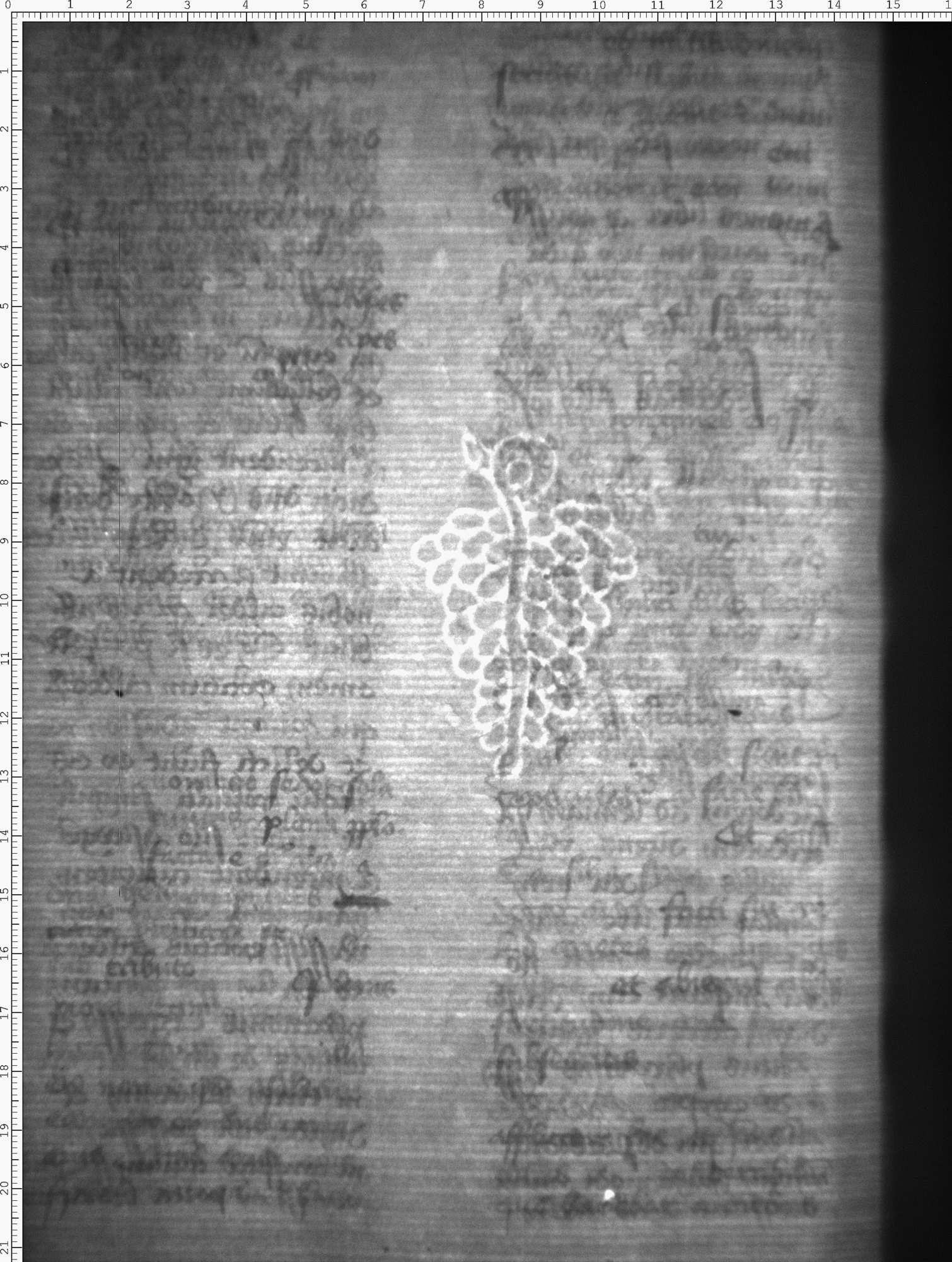 Watermark