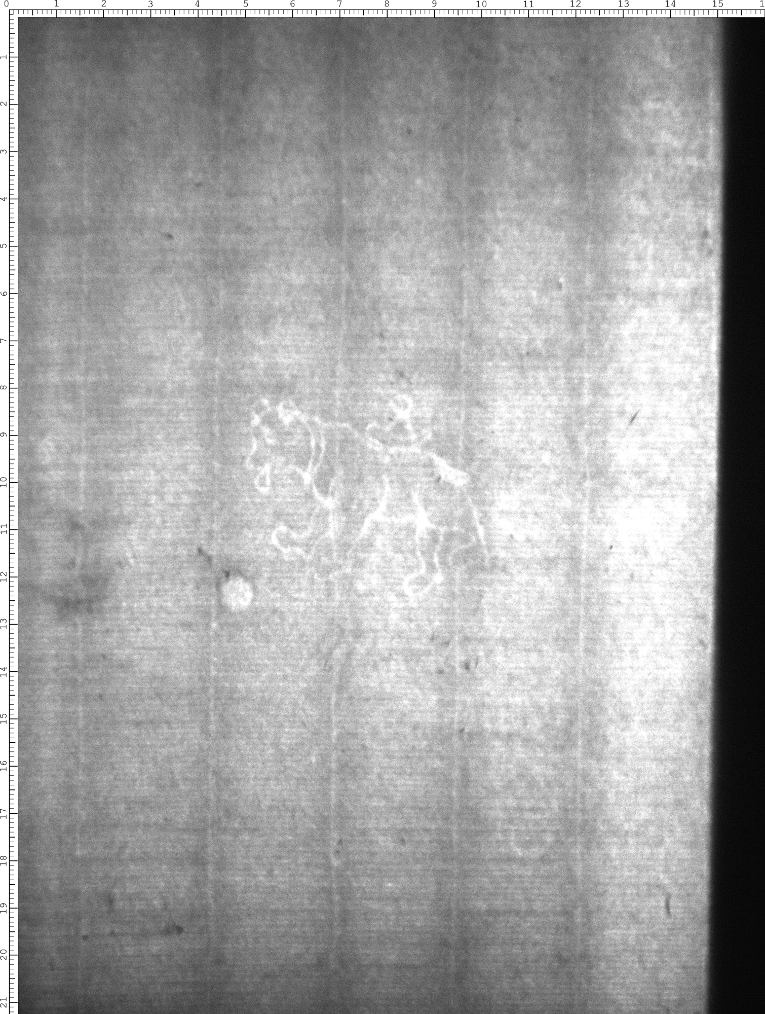 Watermark