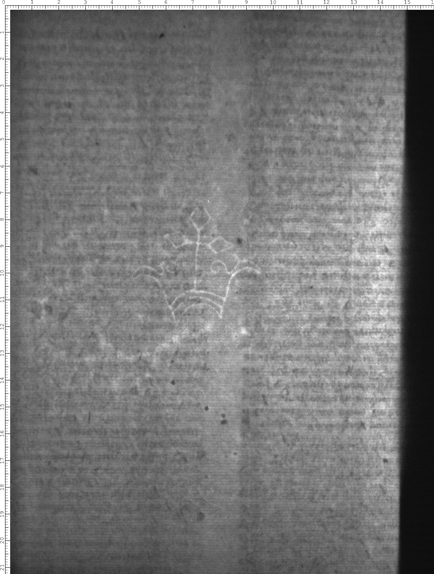 Watermark