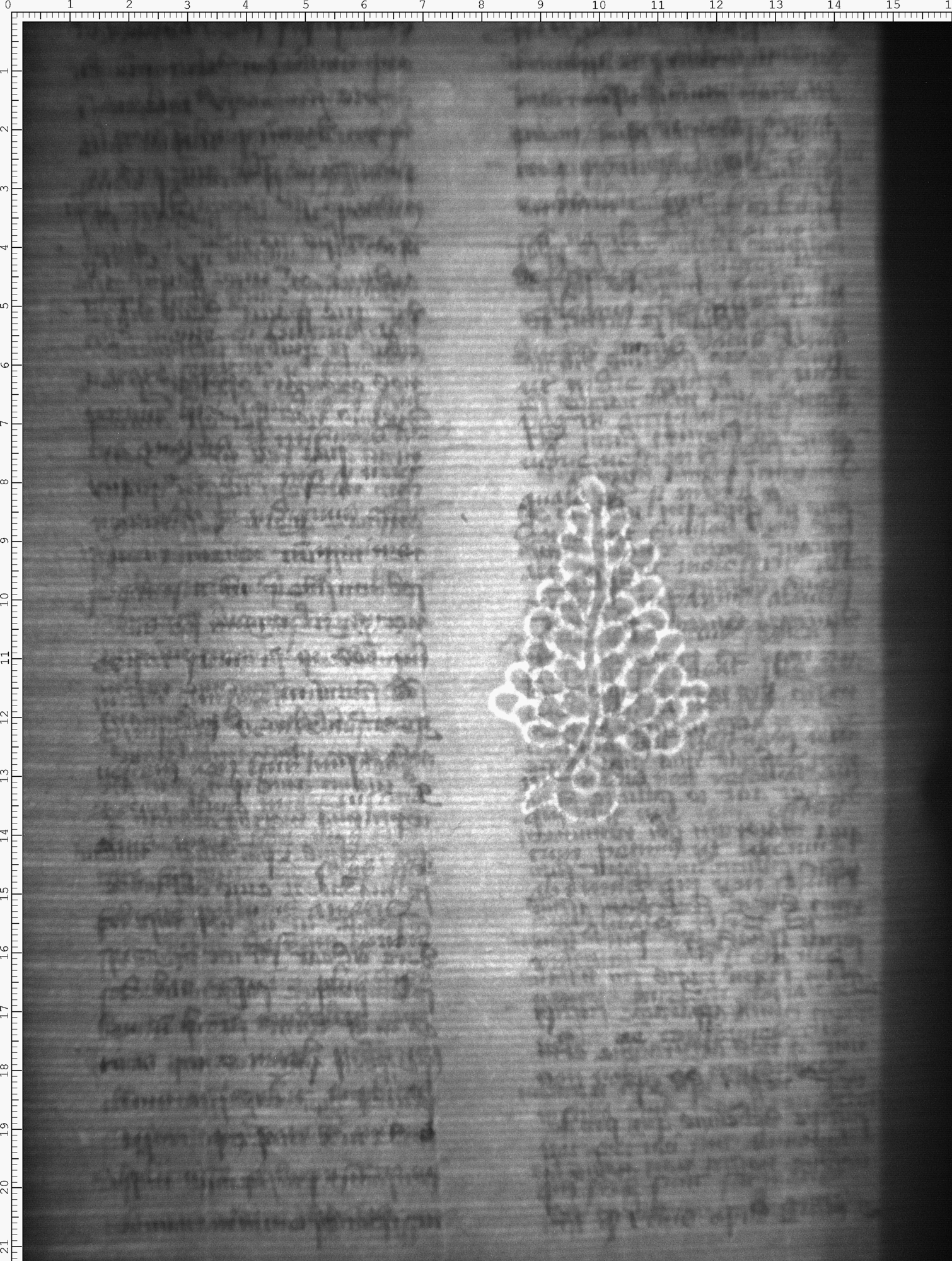 Watermark