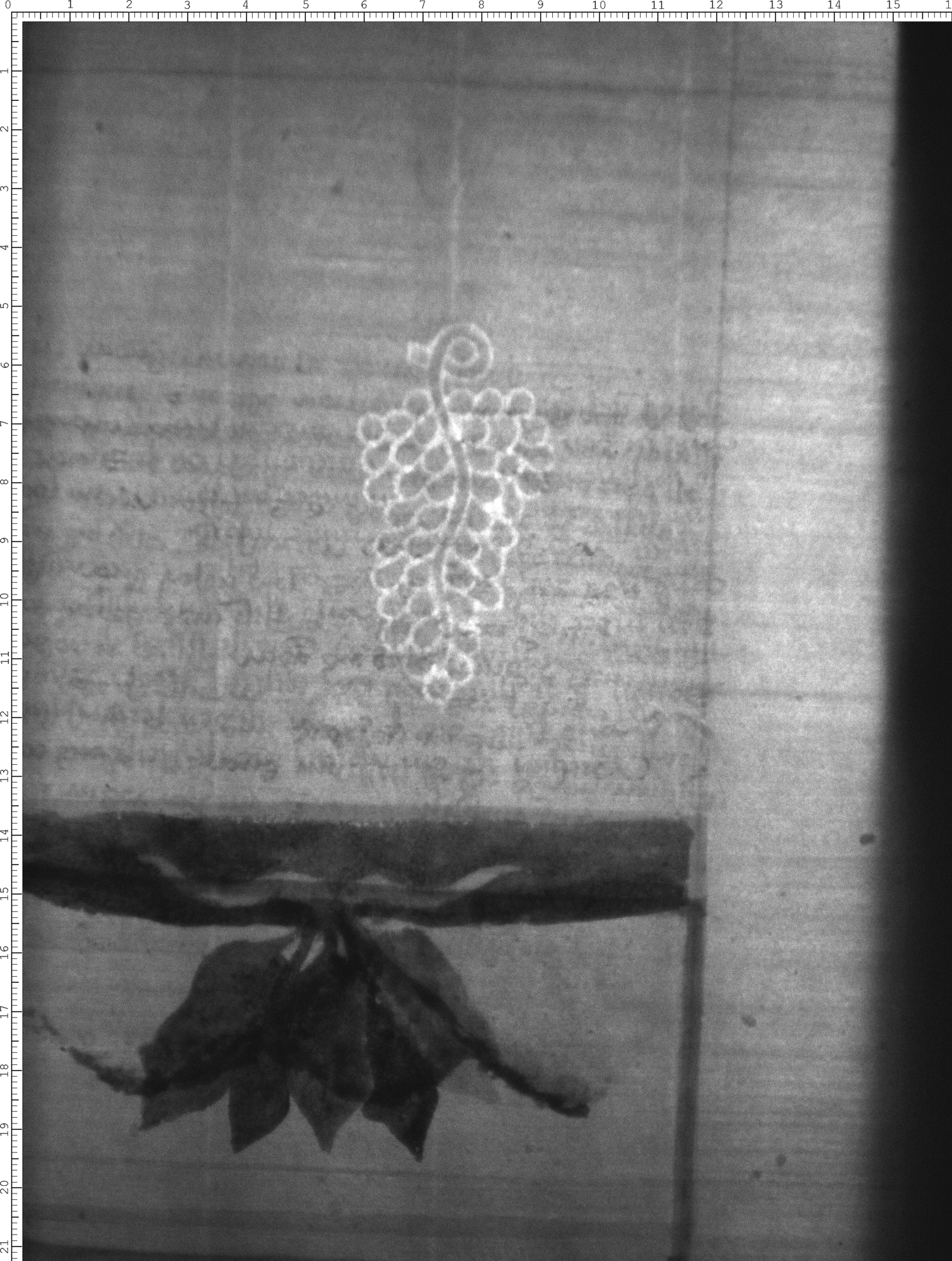 Watermark