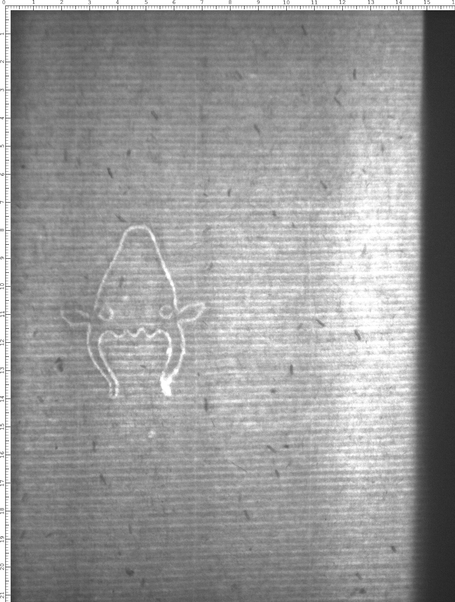 Watermark