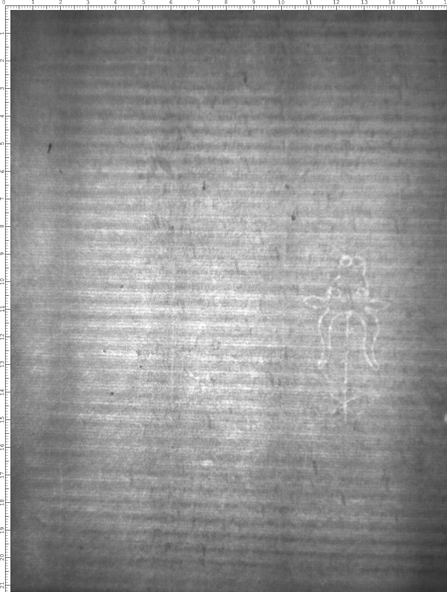 Watermark