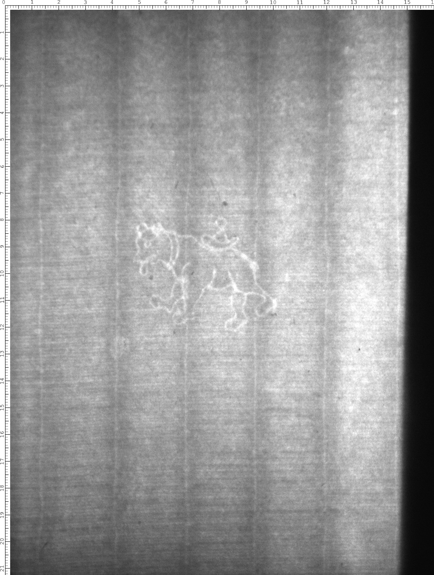 Watermark