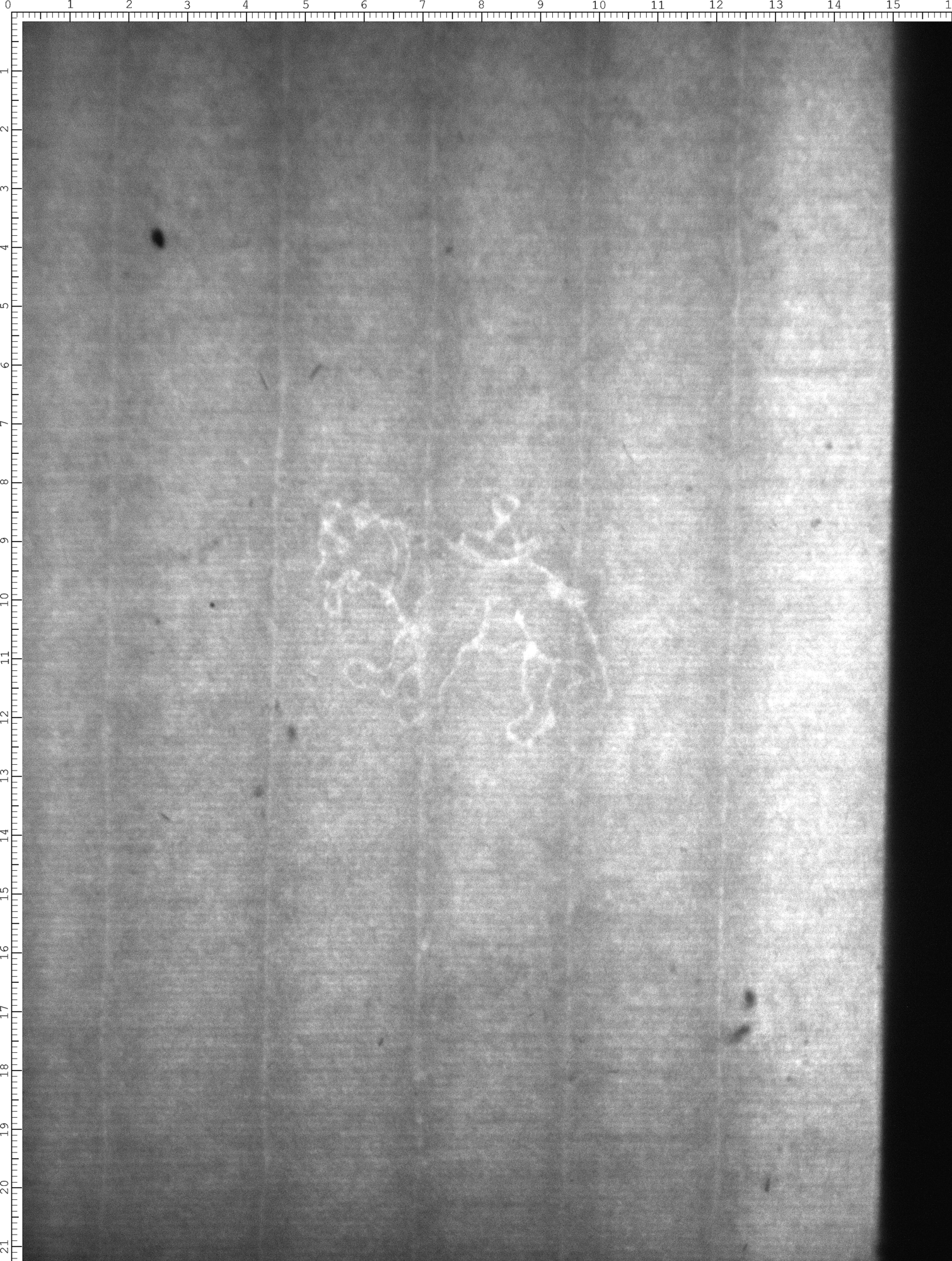 Watermark