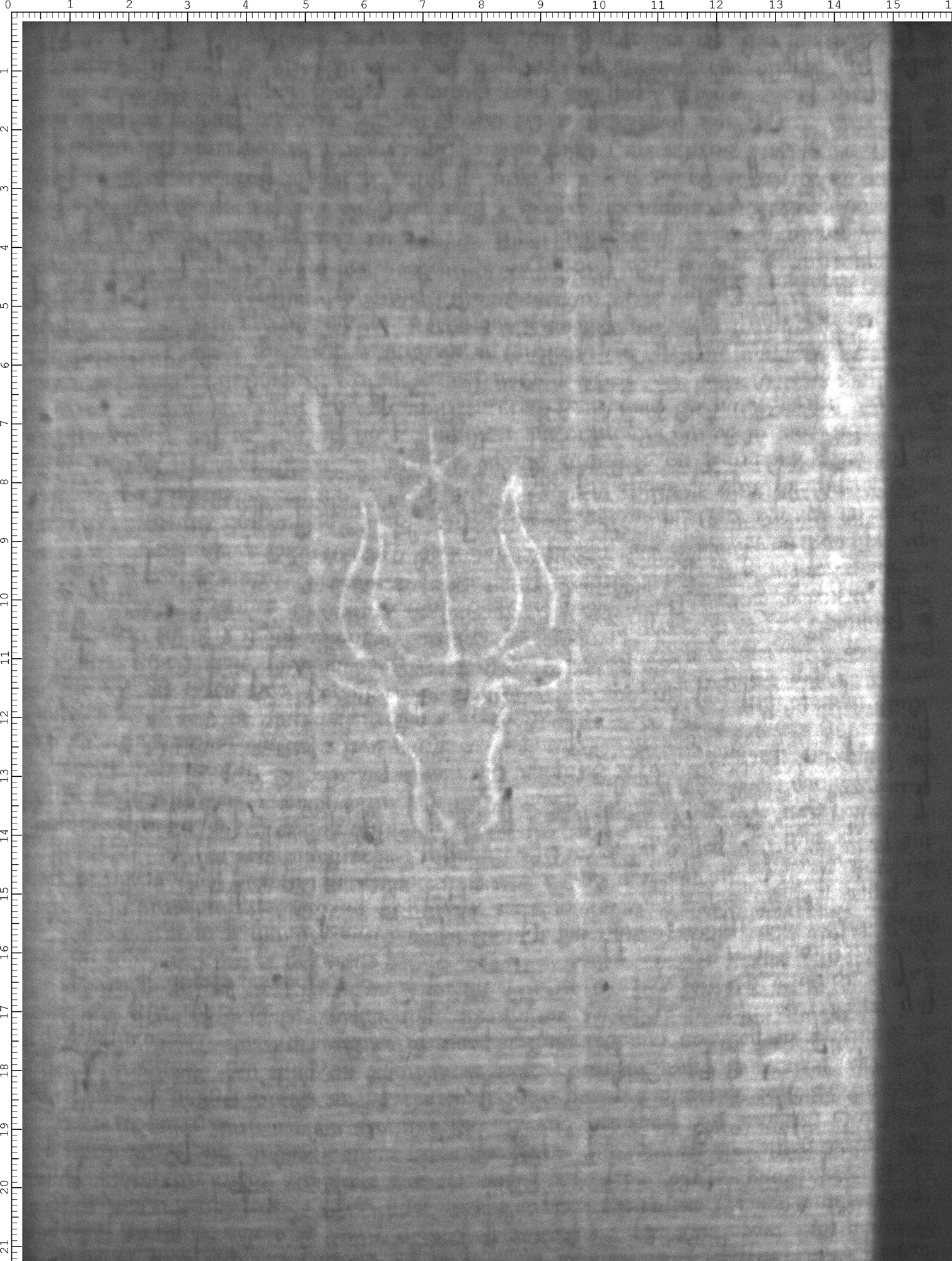 Watermark