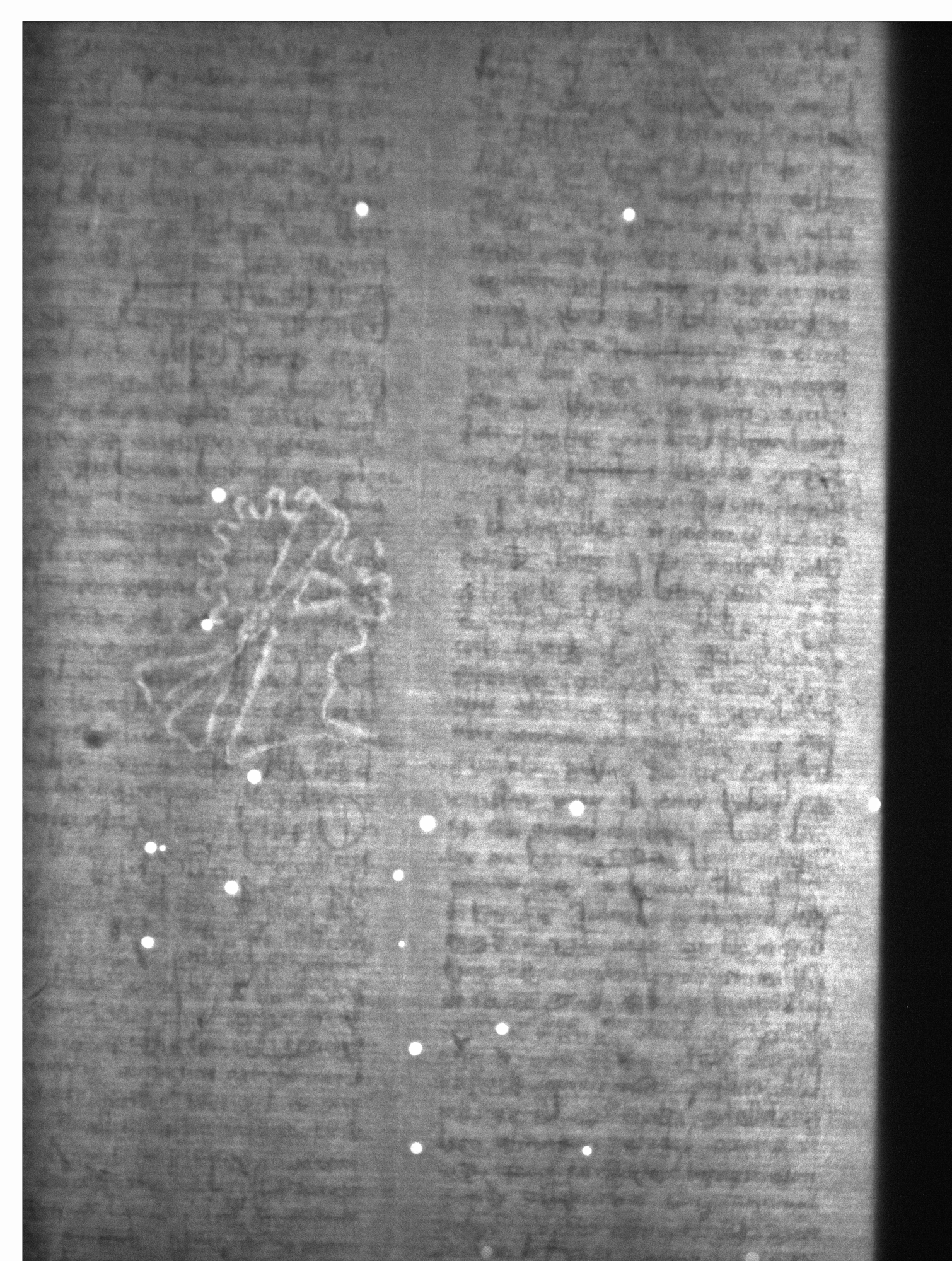 Watermark