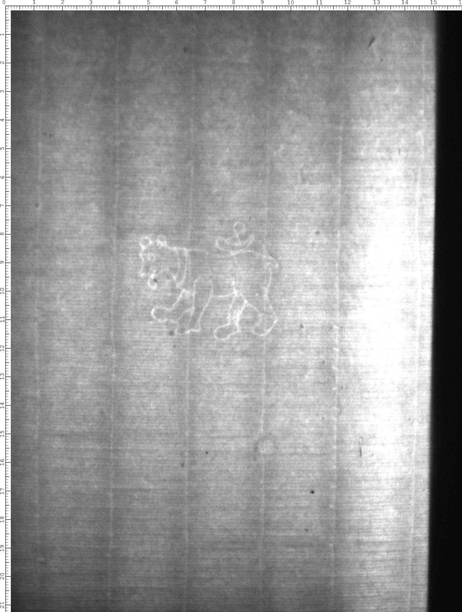 Watermark