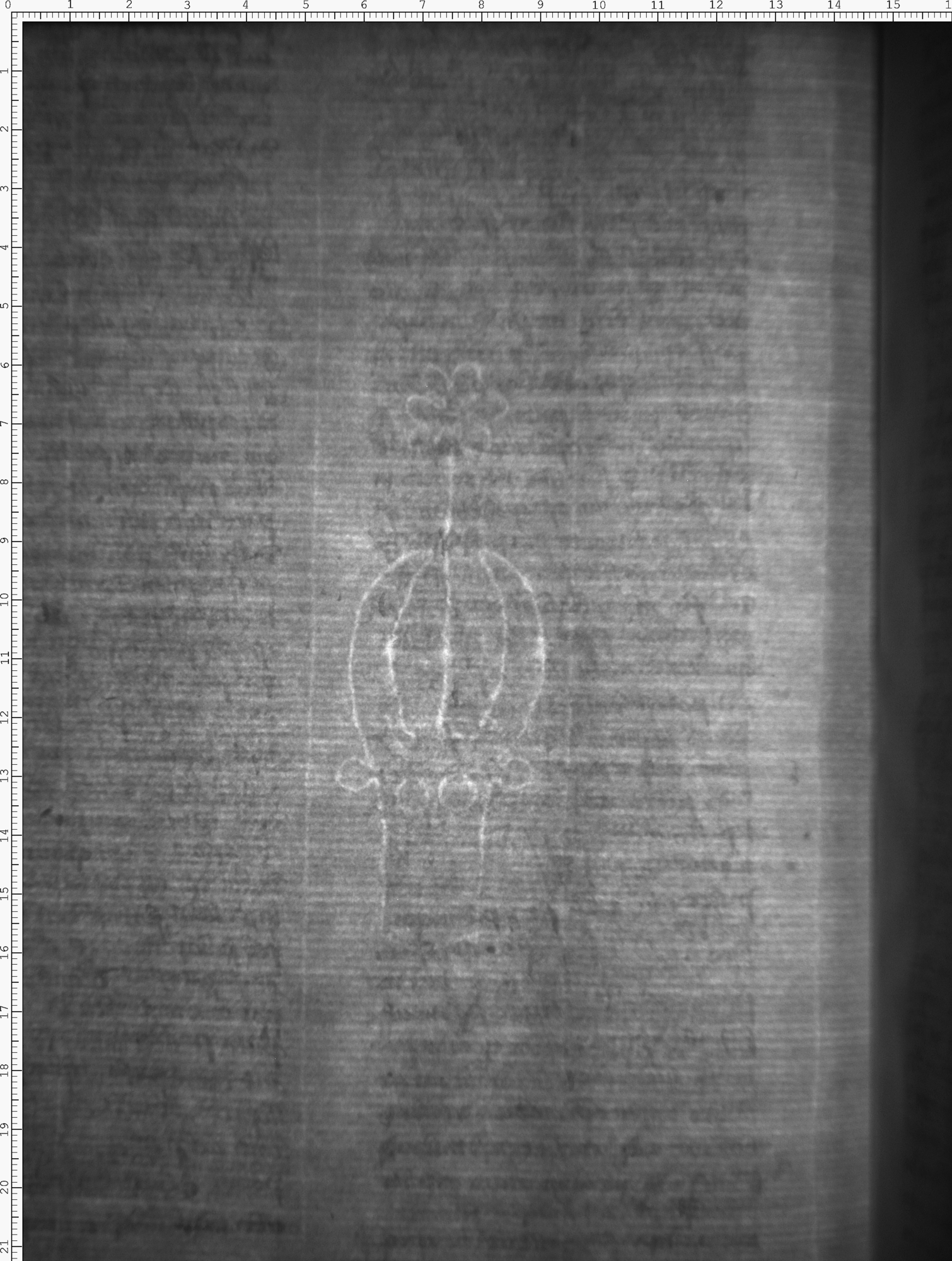 Watermark