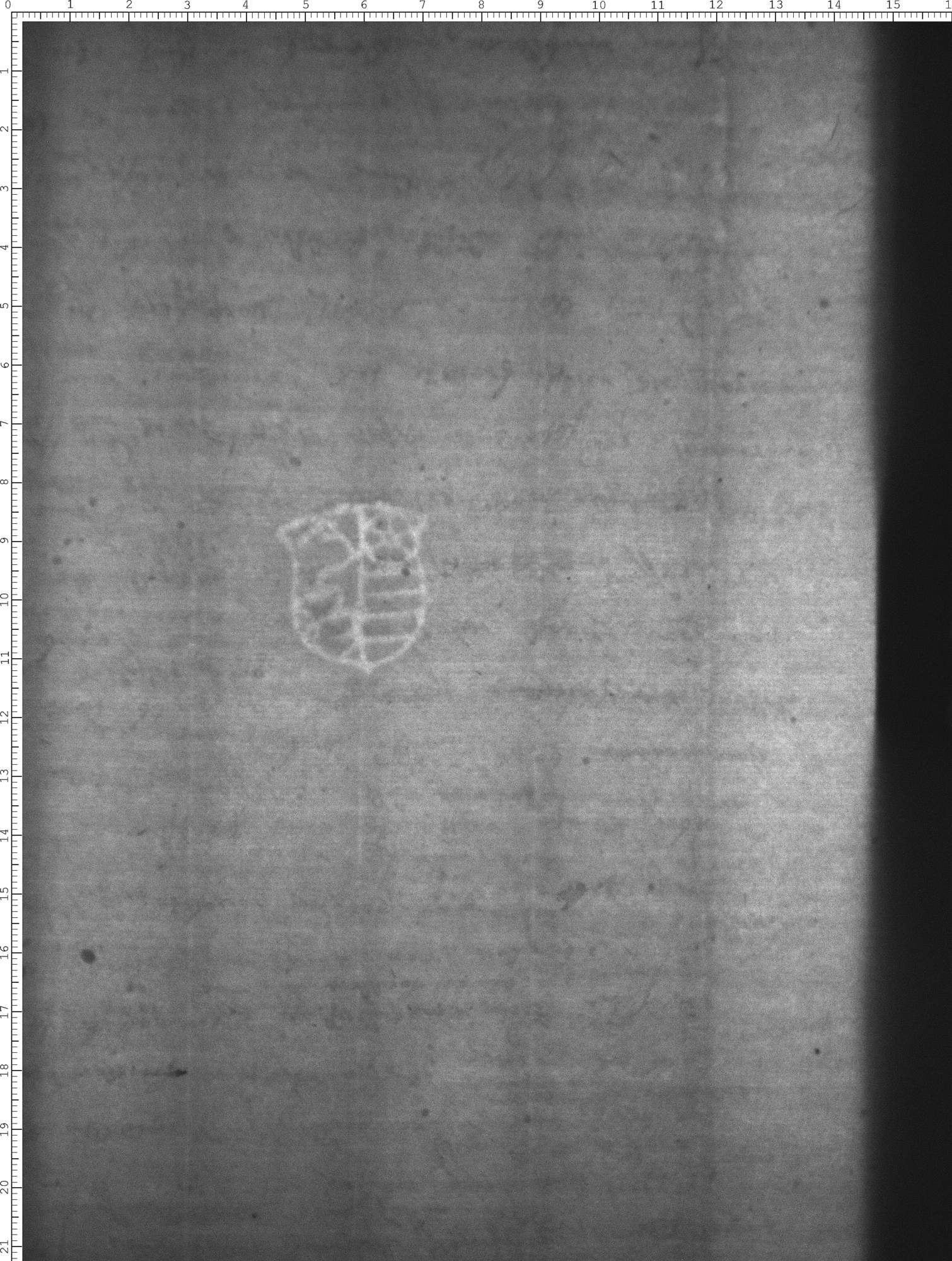 Watermark