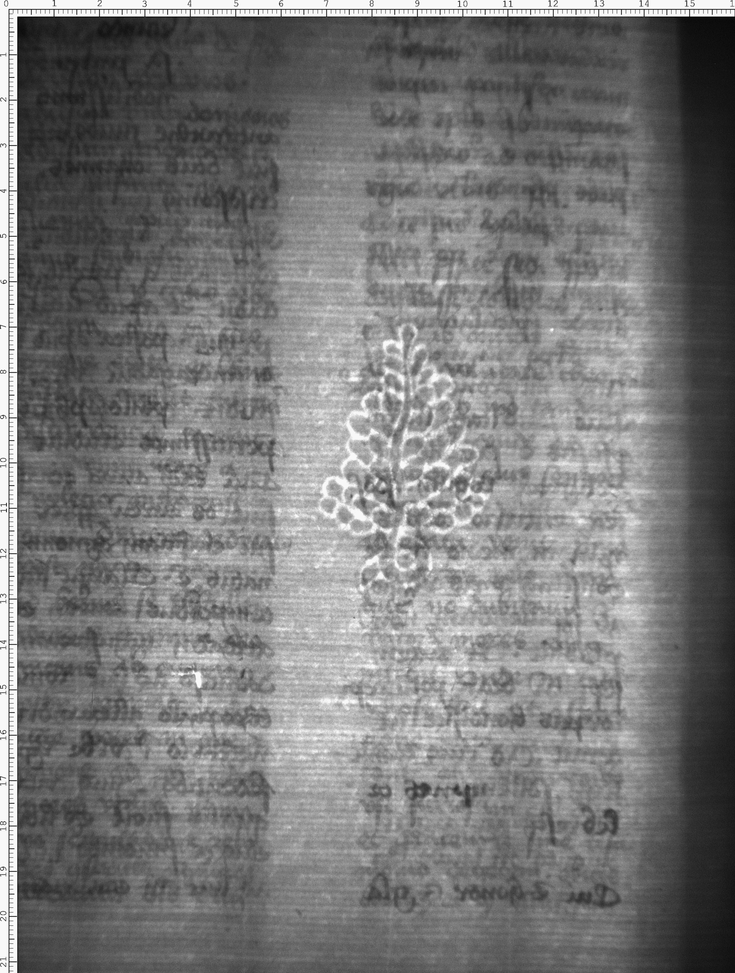Watermark
