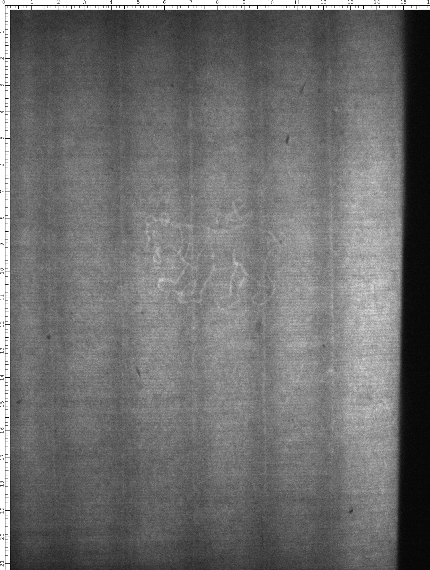 Watermark