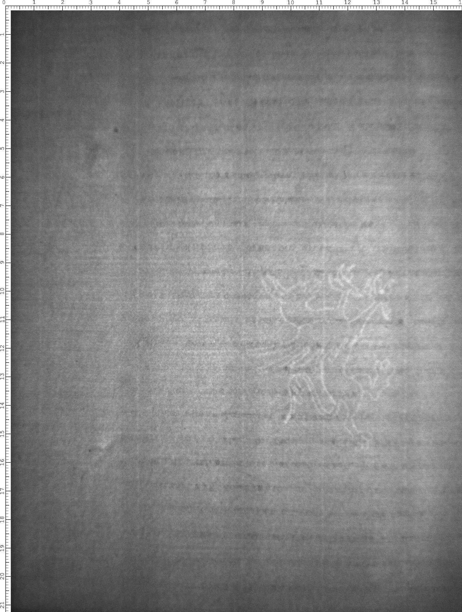 Watermark