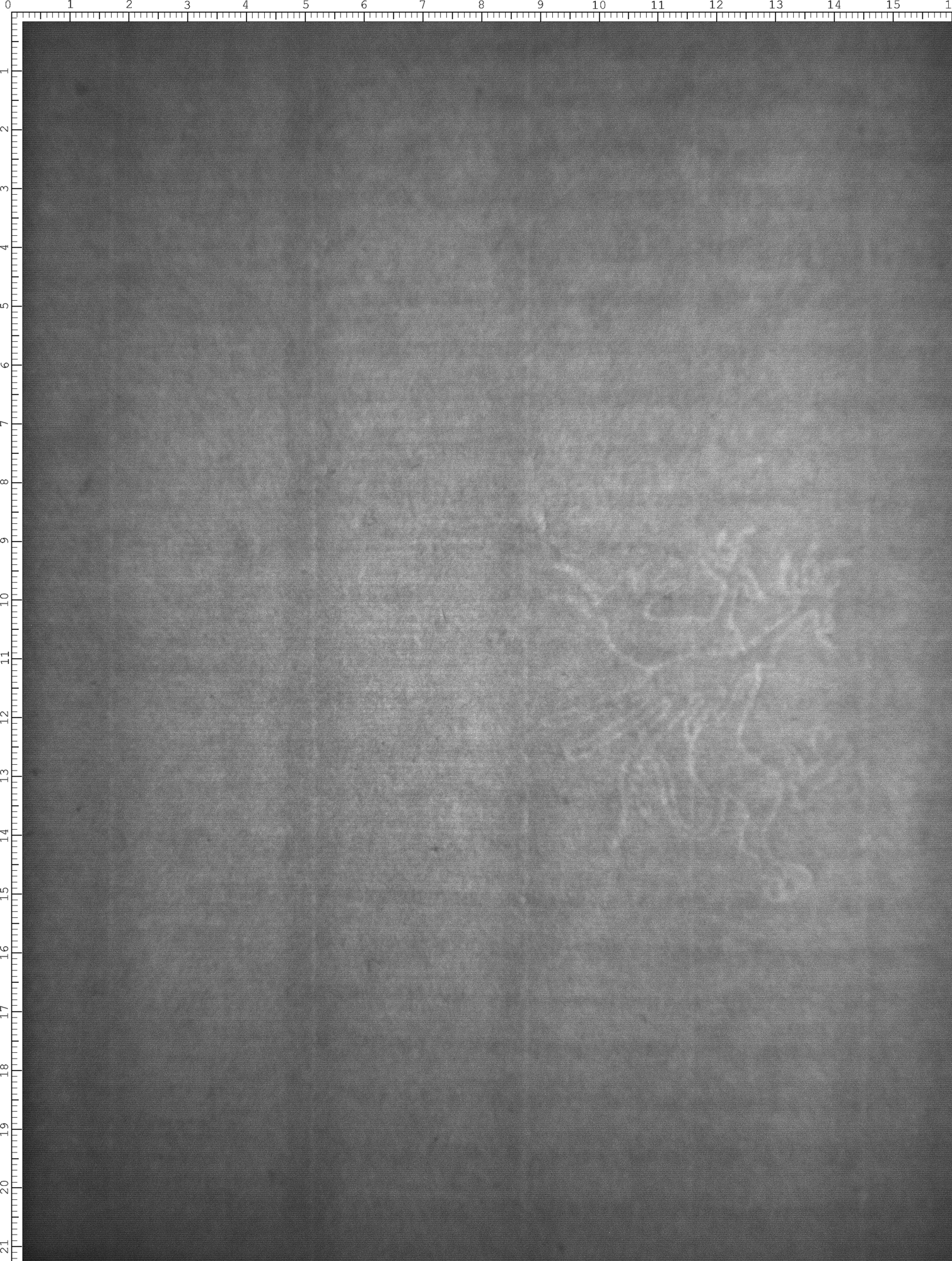 Watermark