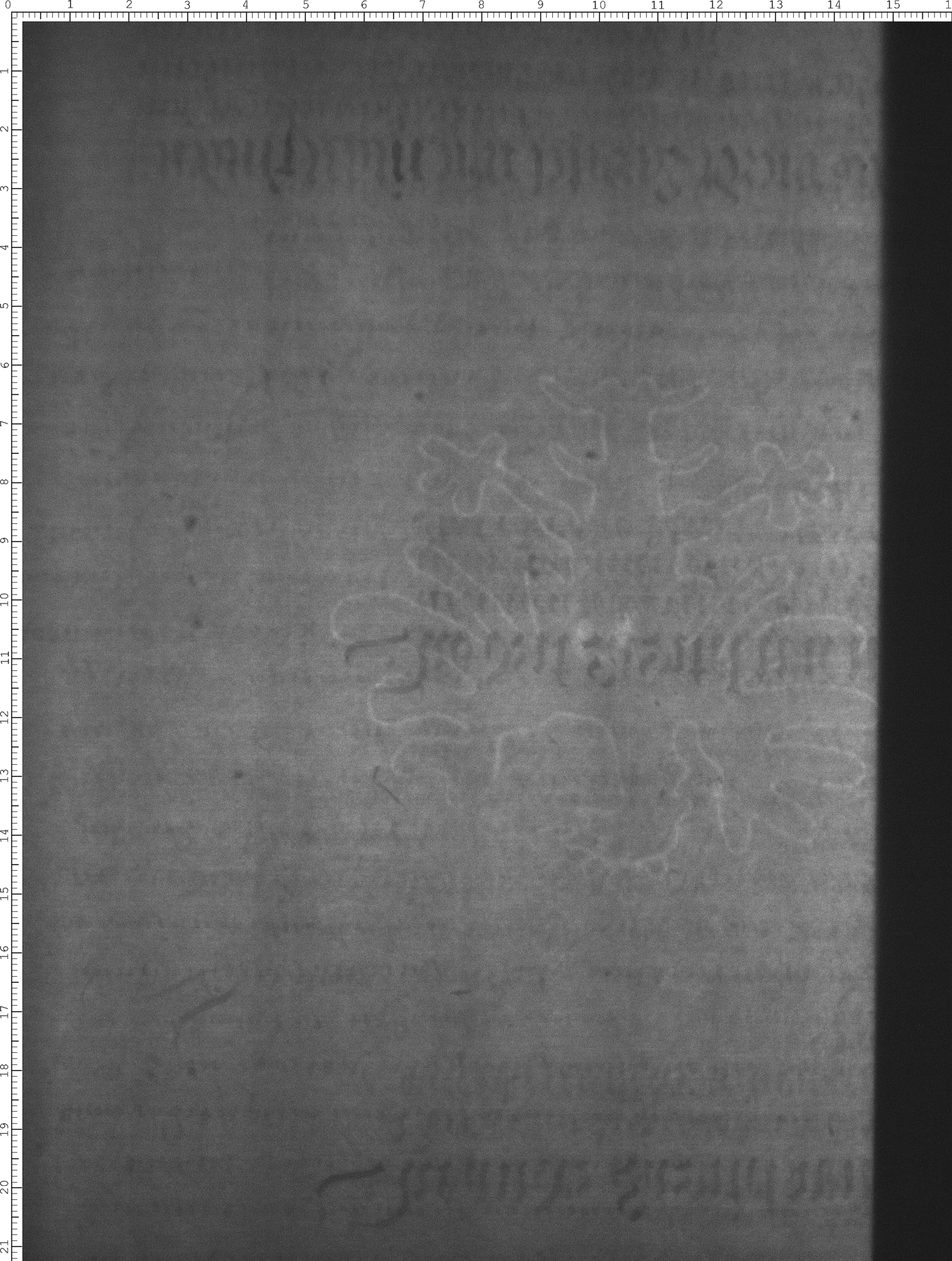 Watermark