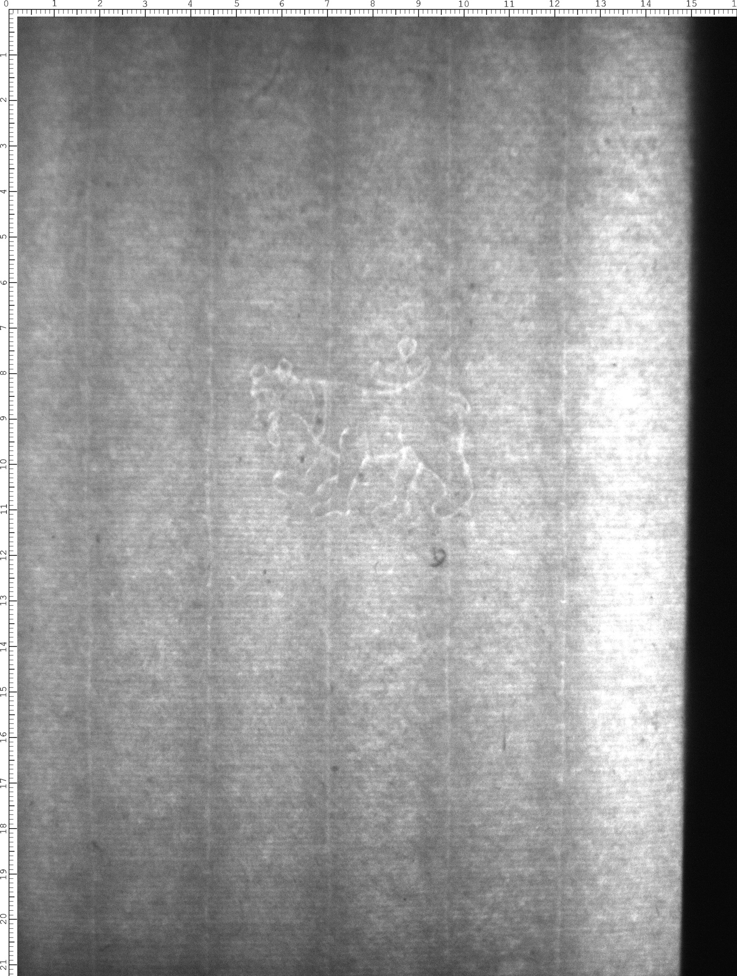 Watermark