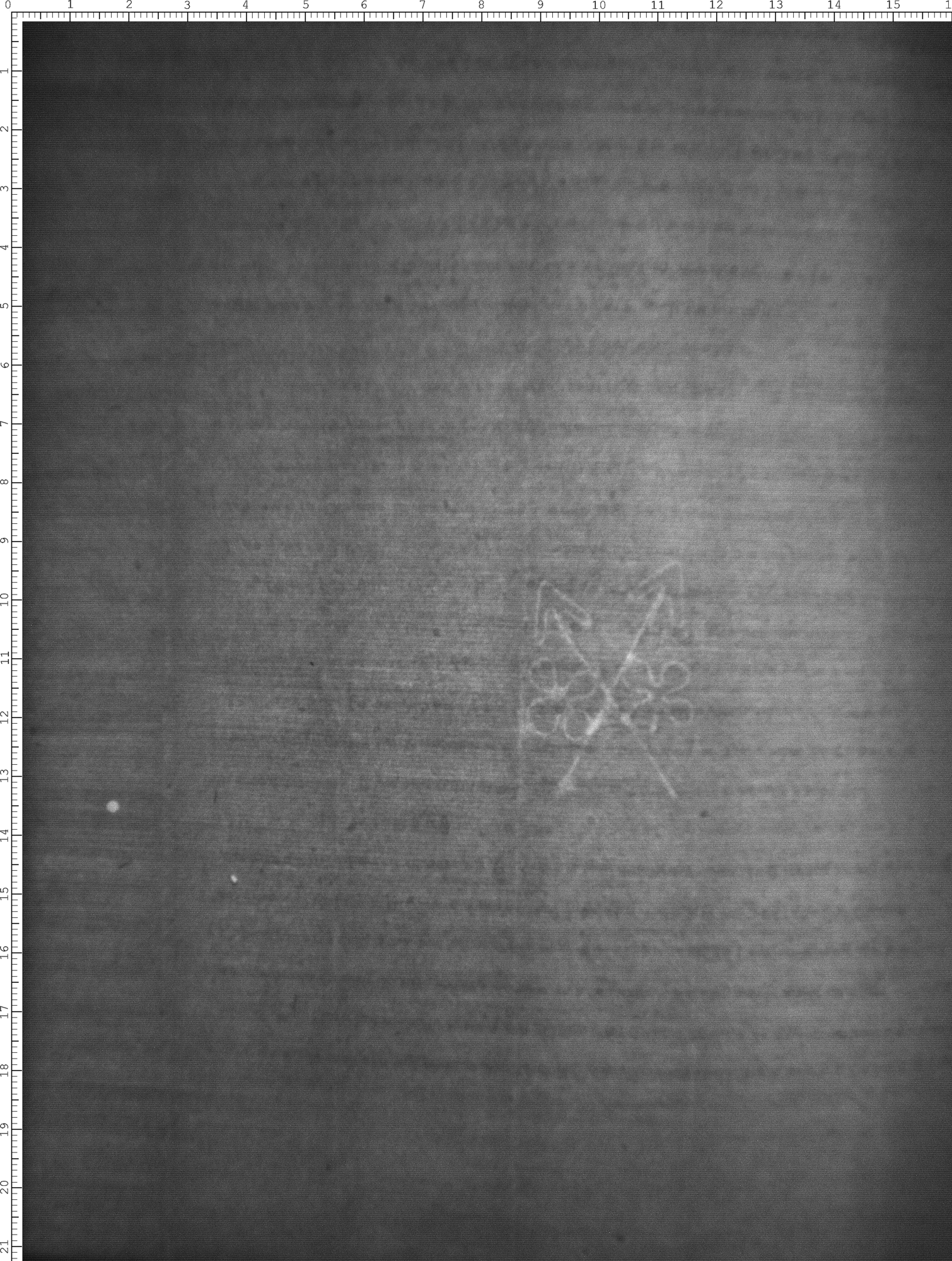 Watermark