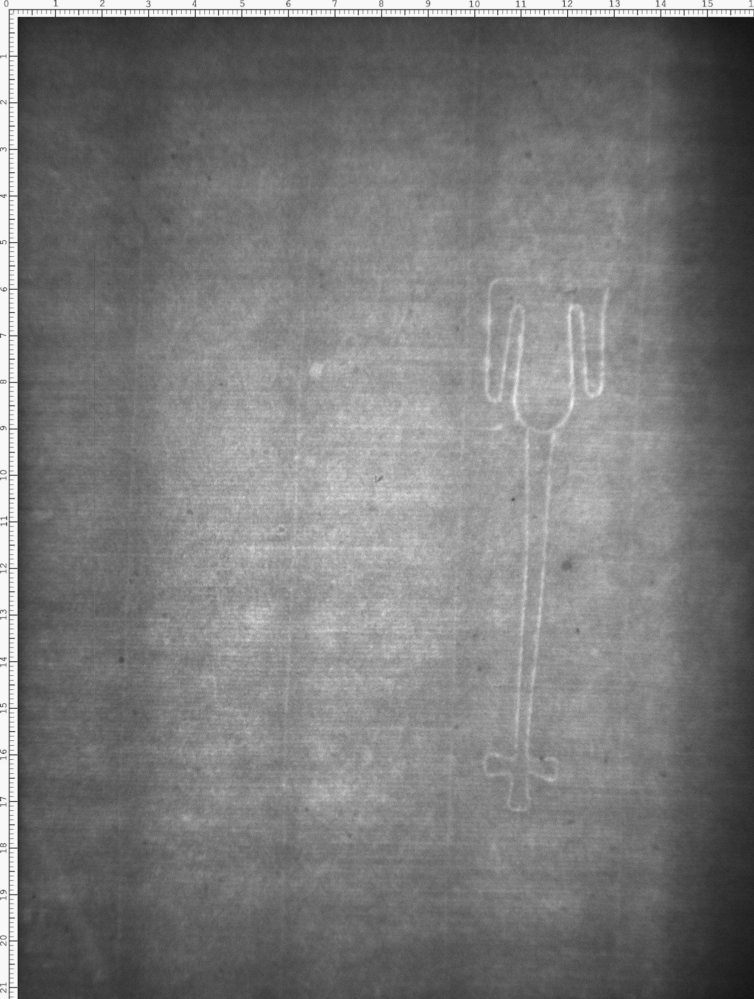 Watermark