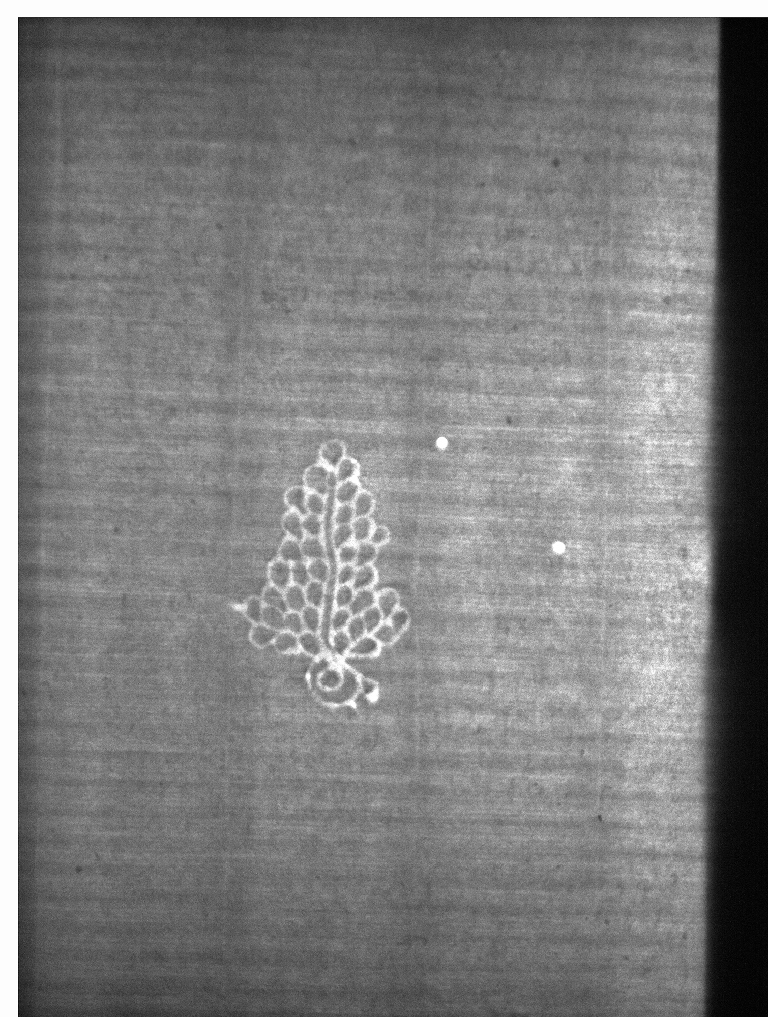 Watermark