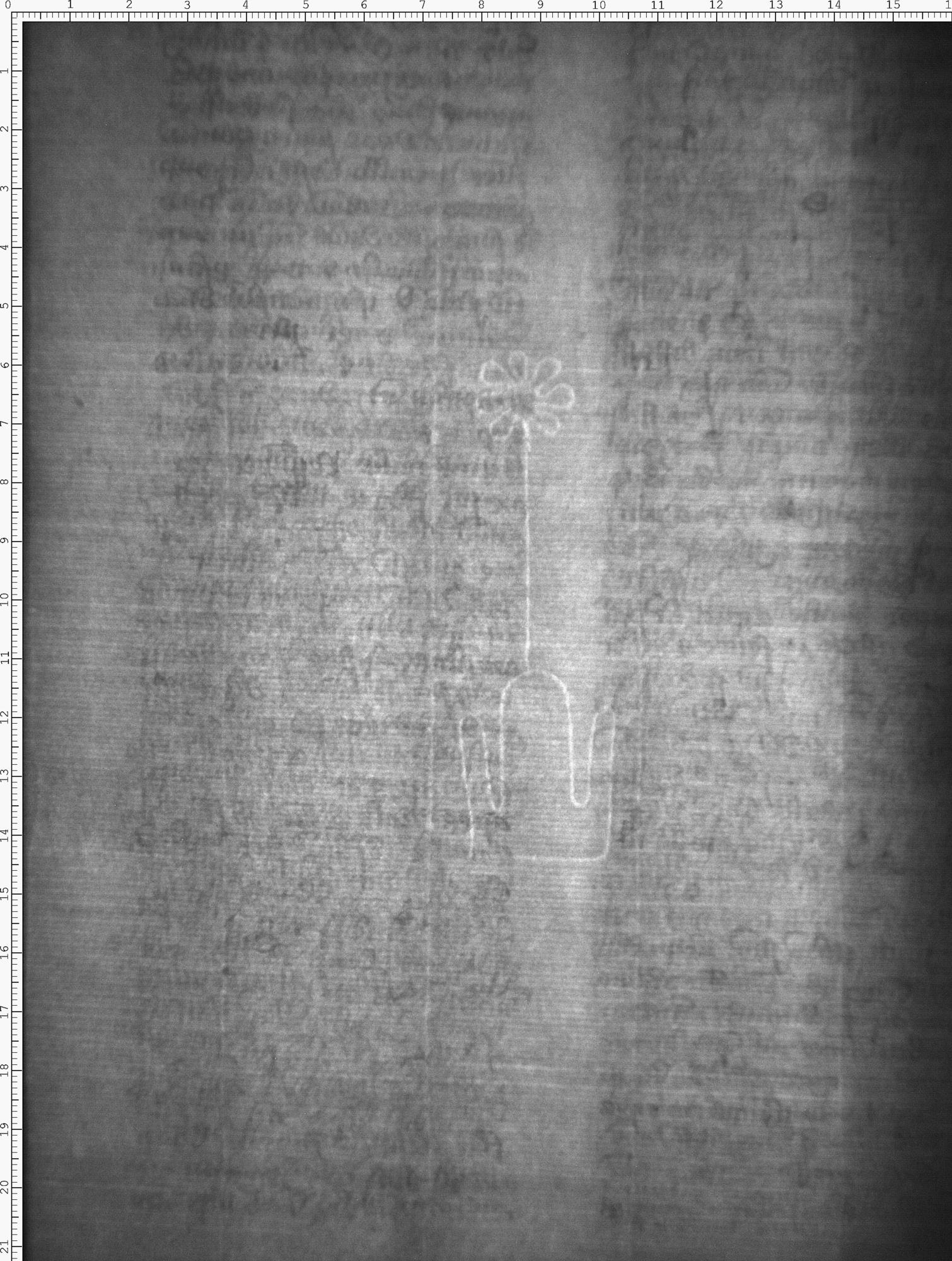 Watermark