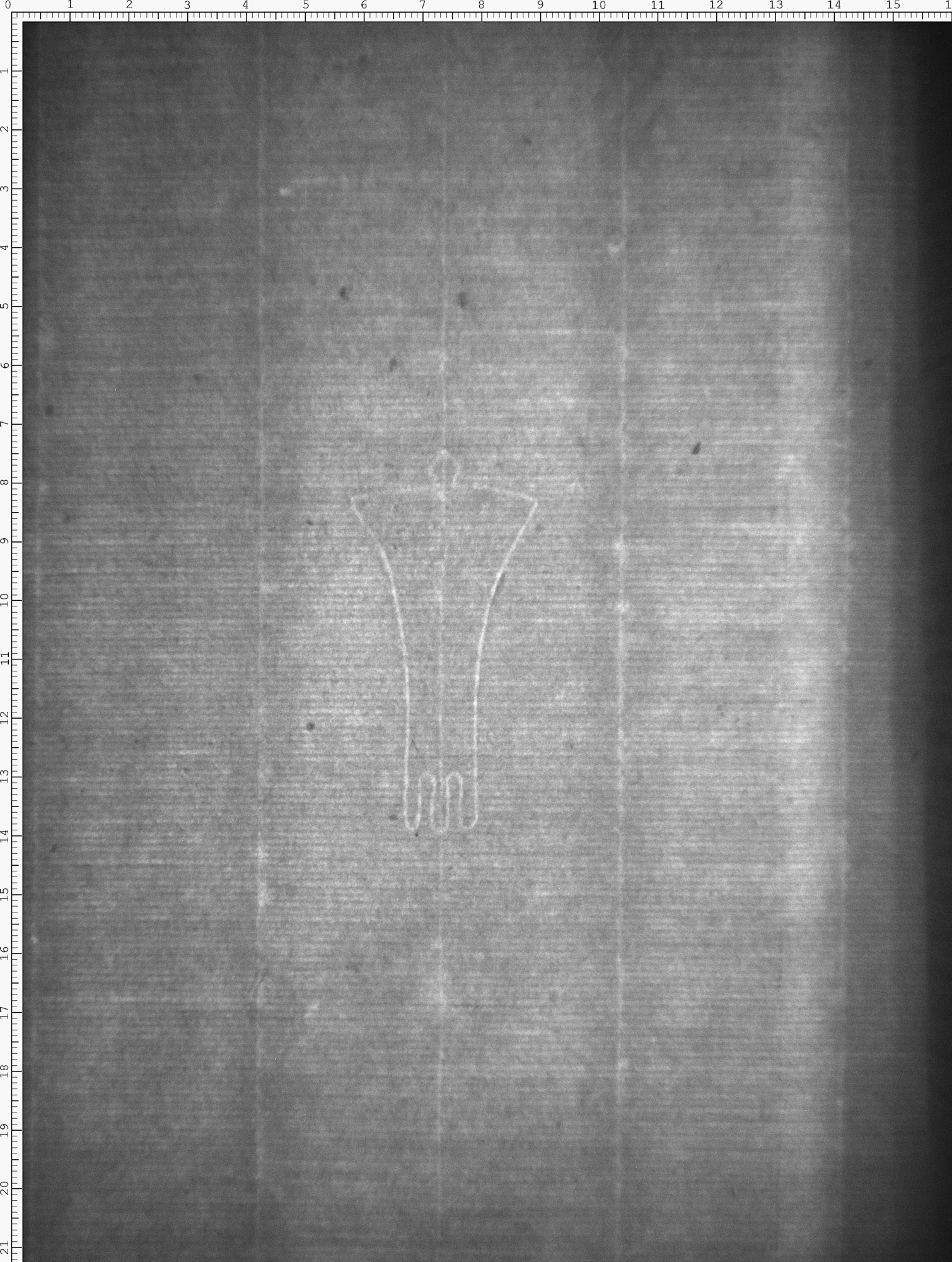 Watermark