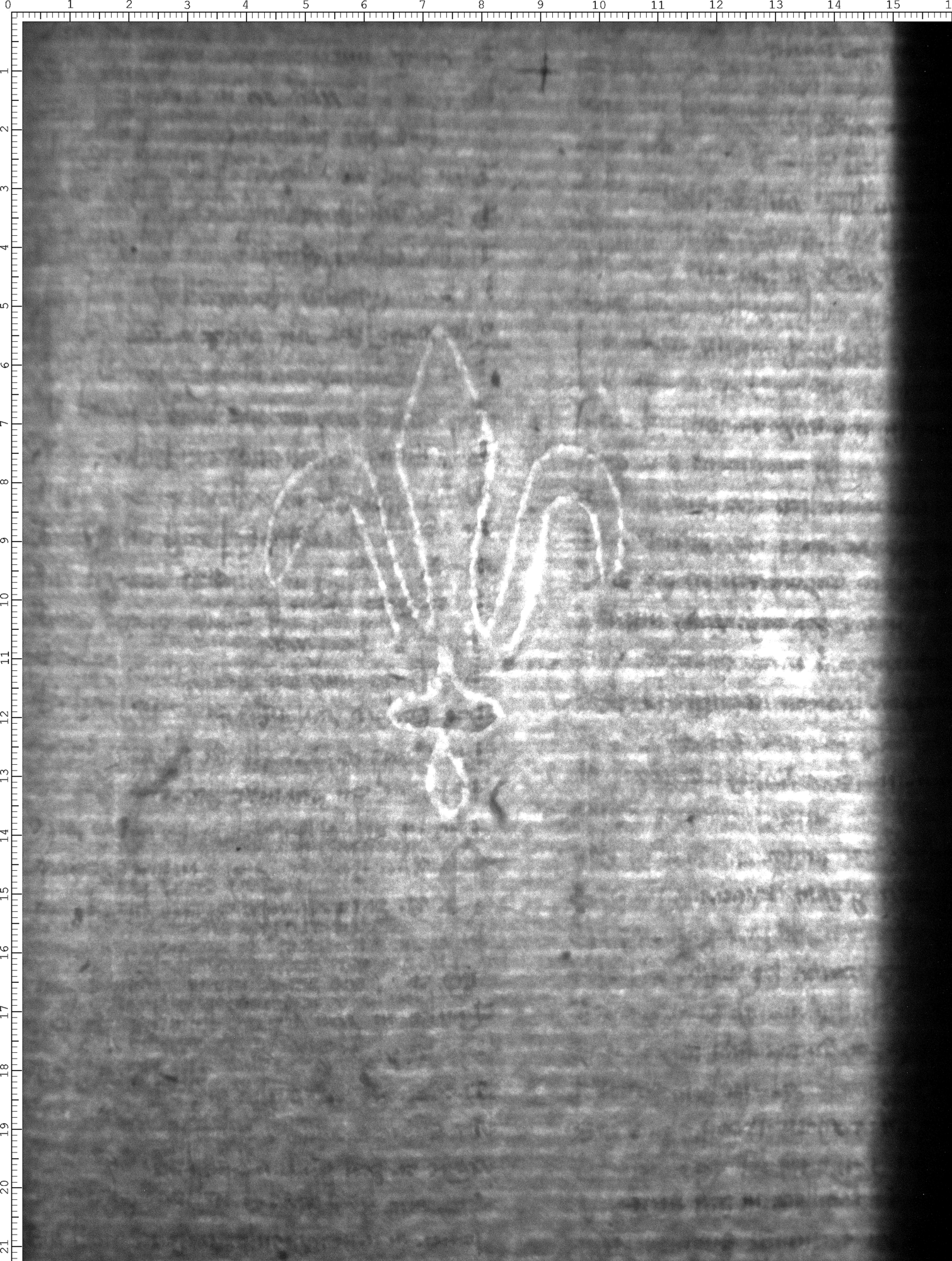 Watermark