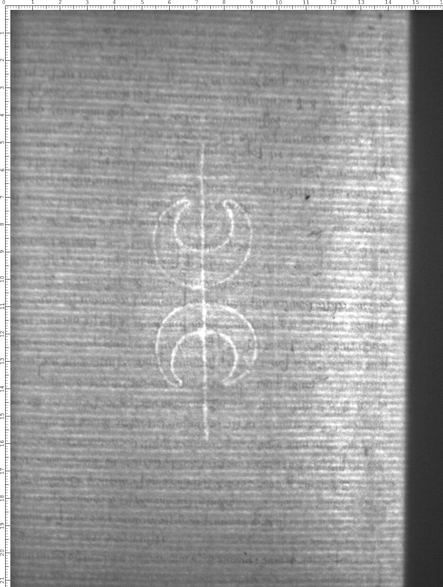 Watermark