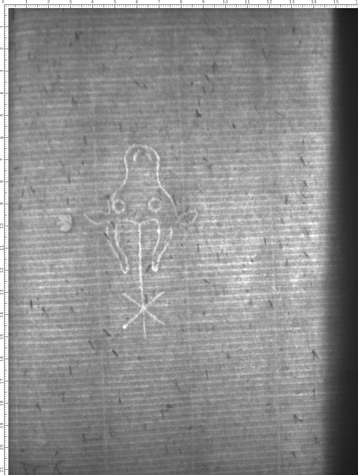 Watermark