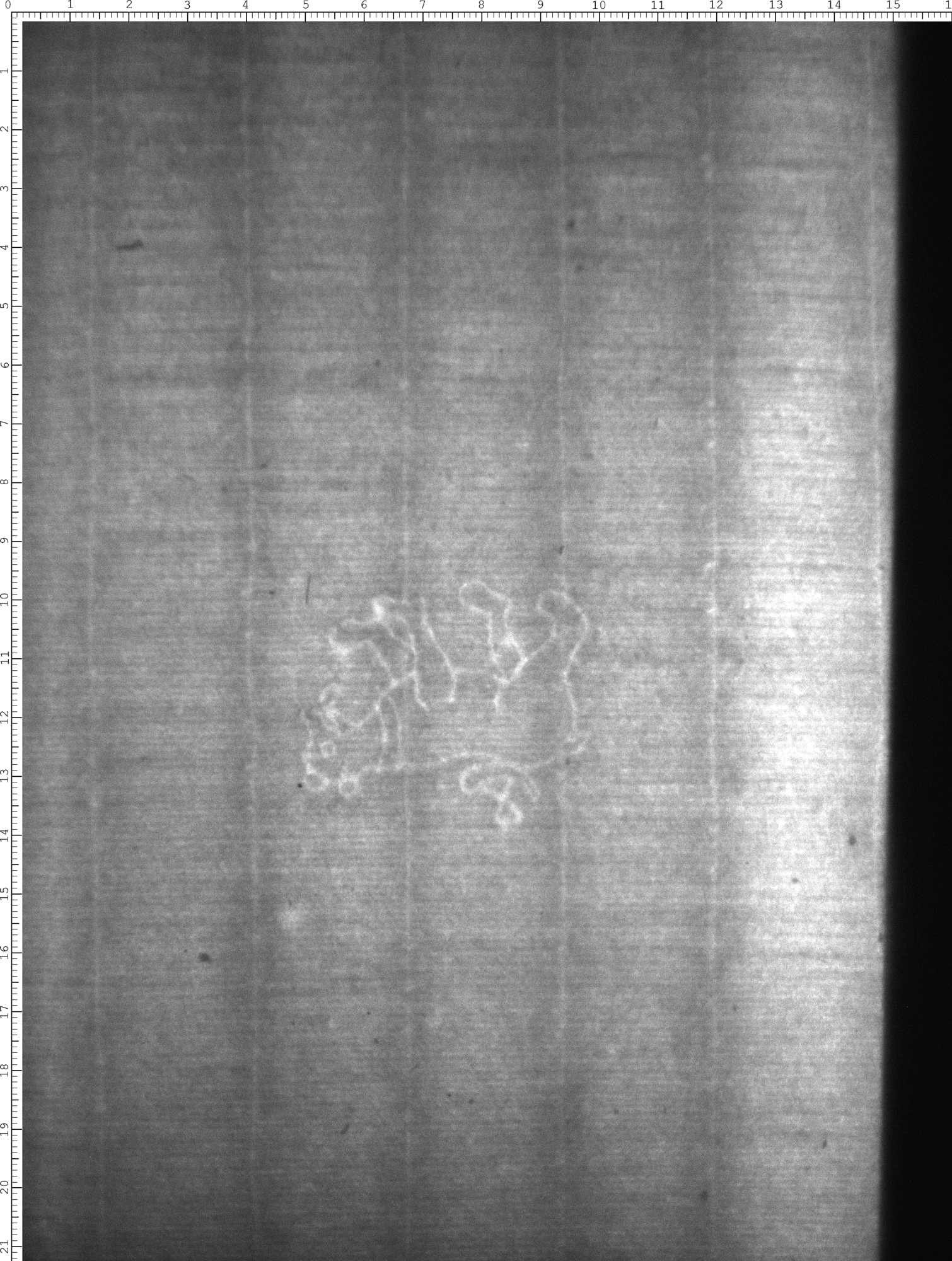 Watermark