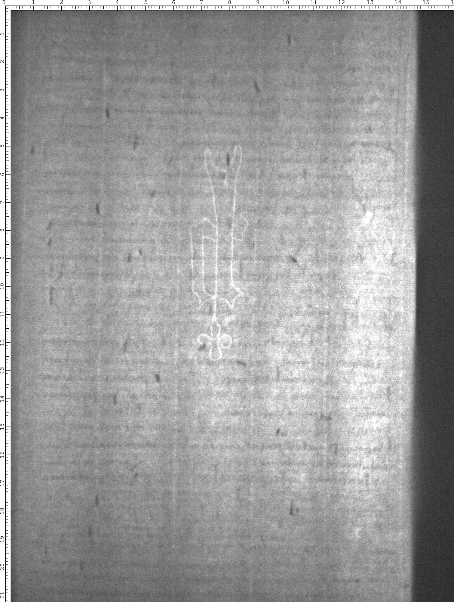 Watermark