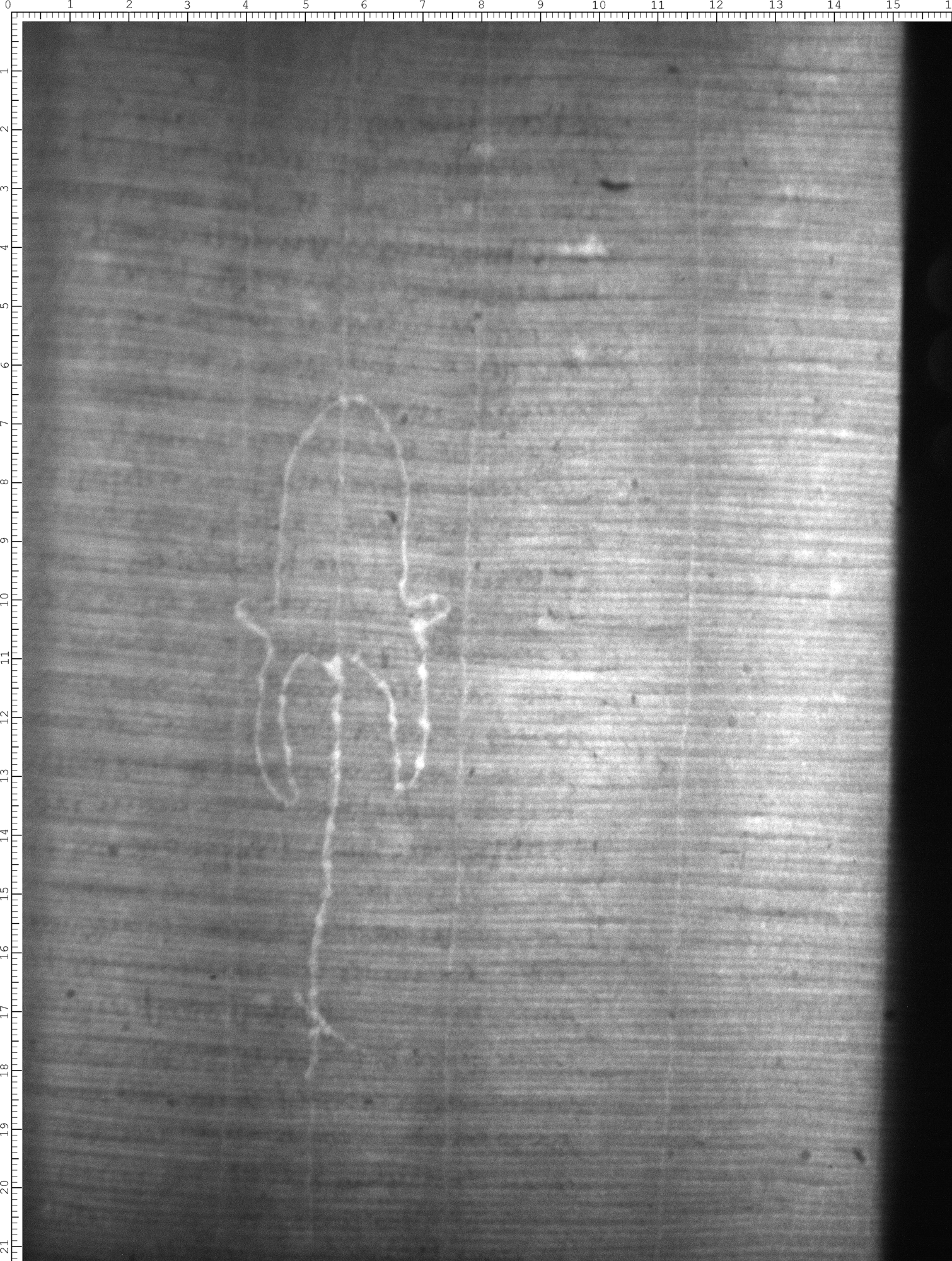 Watermark