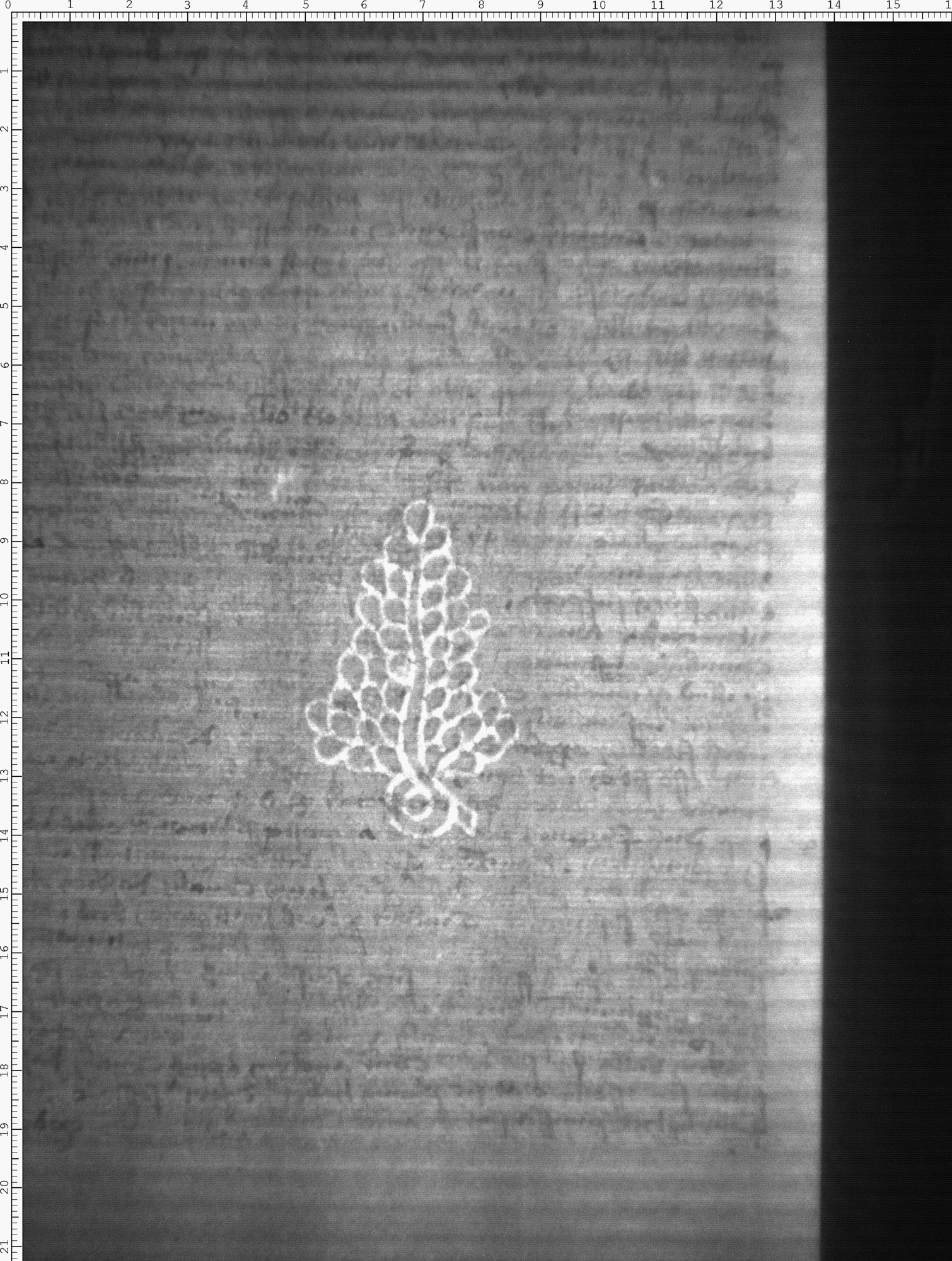 Watermark