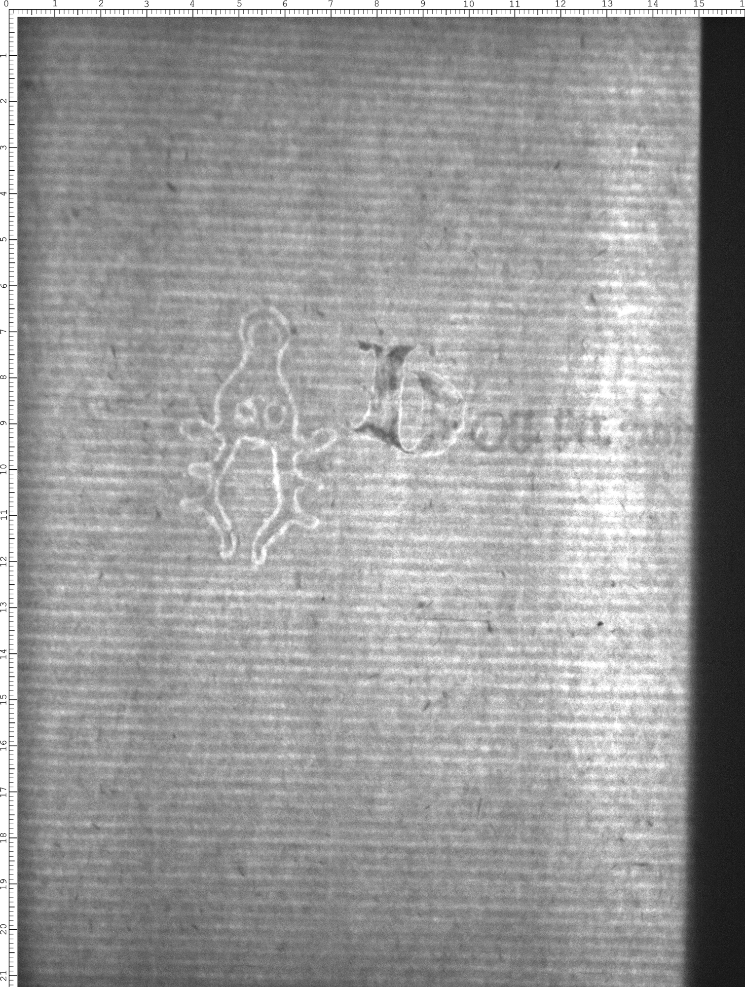 Watermark
