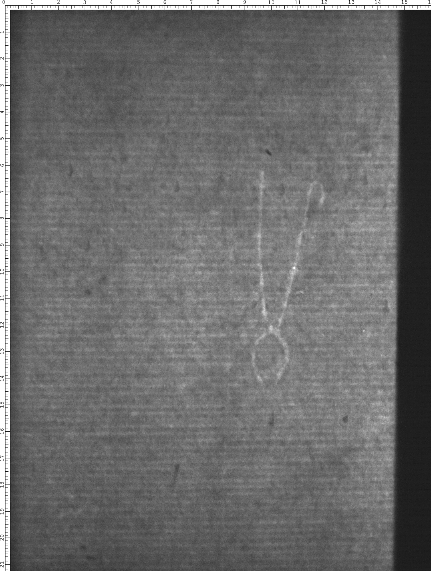 Watermark