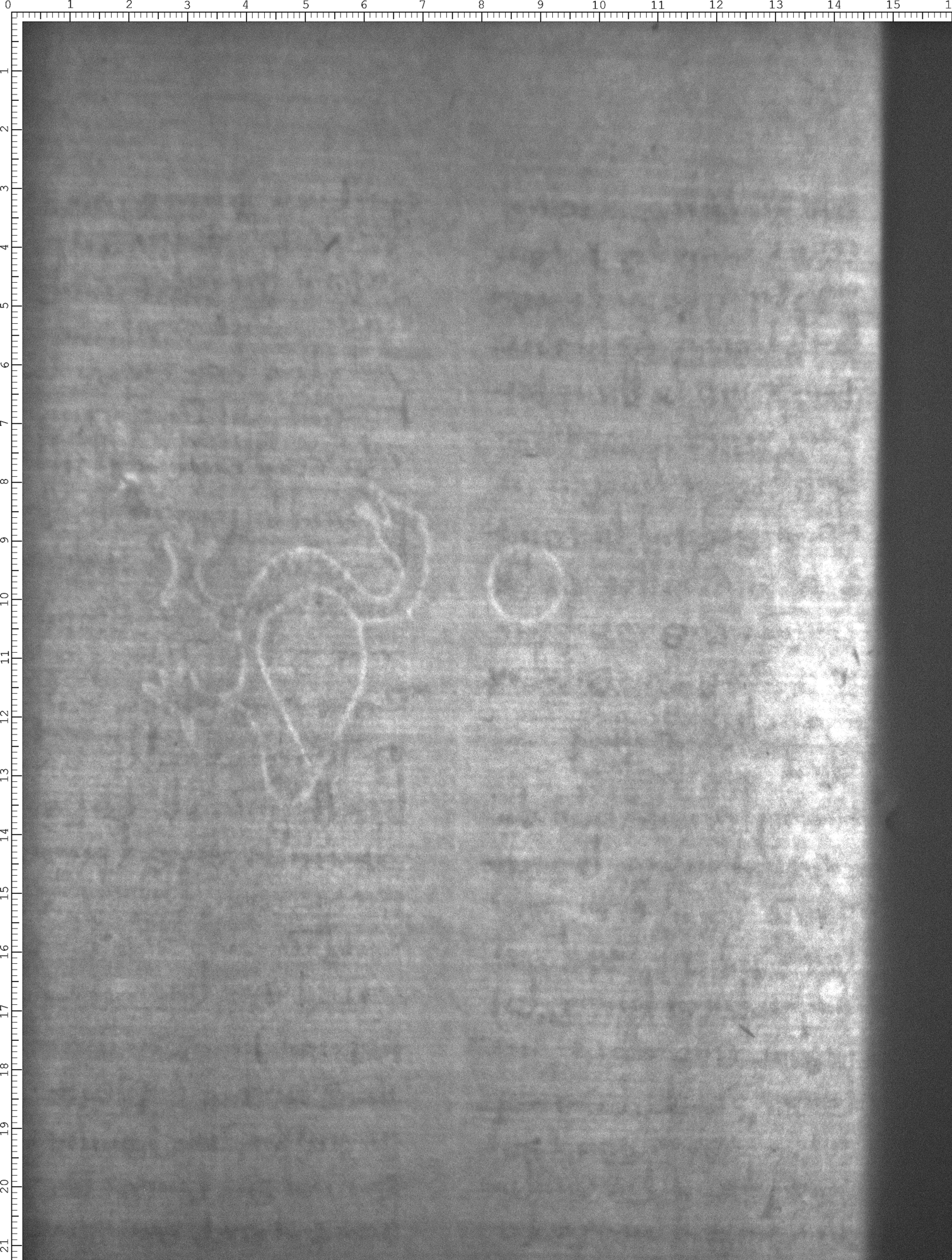 Watermark
