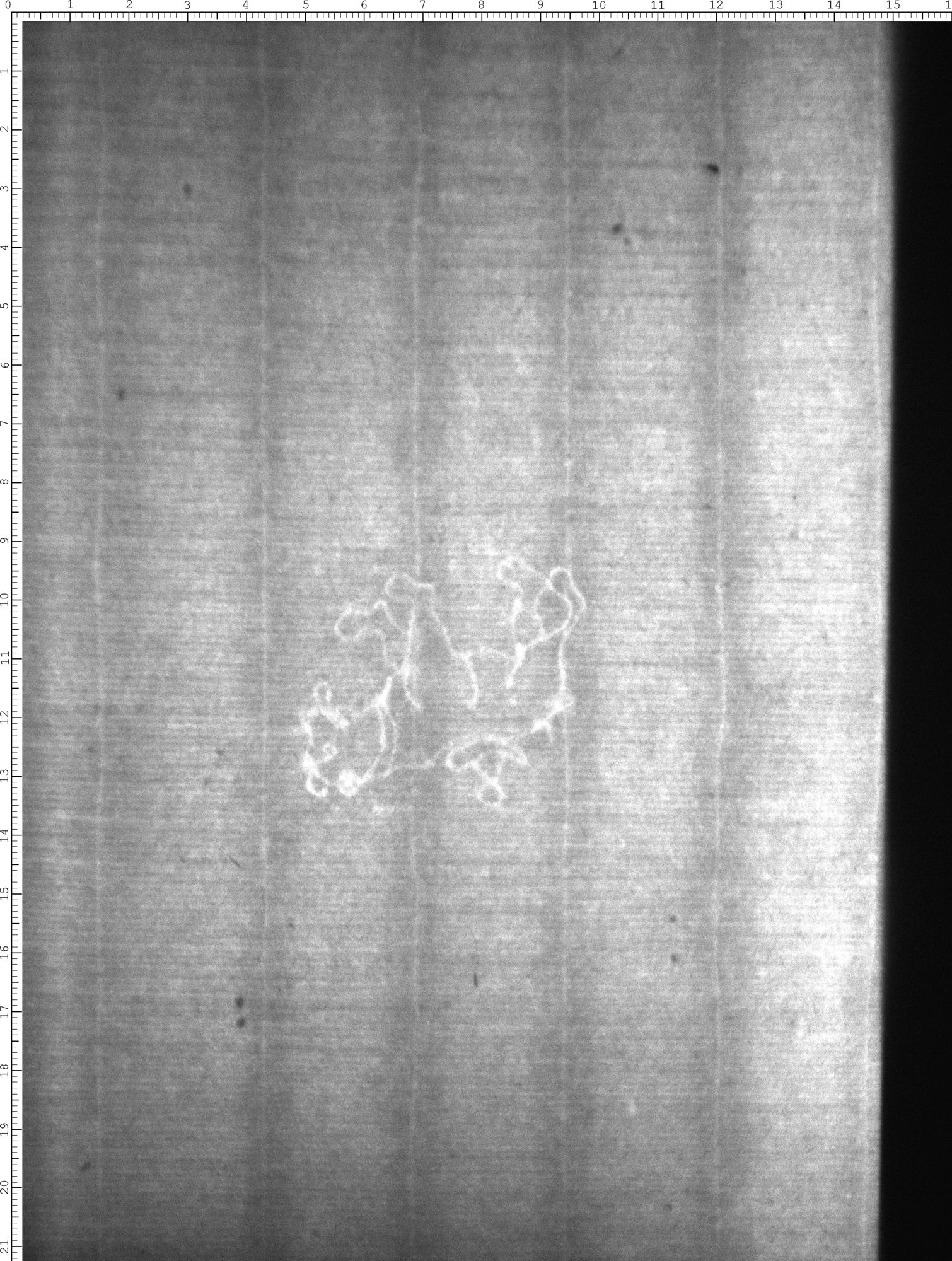 Watermark