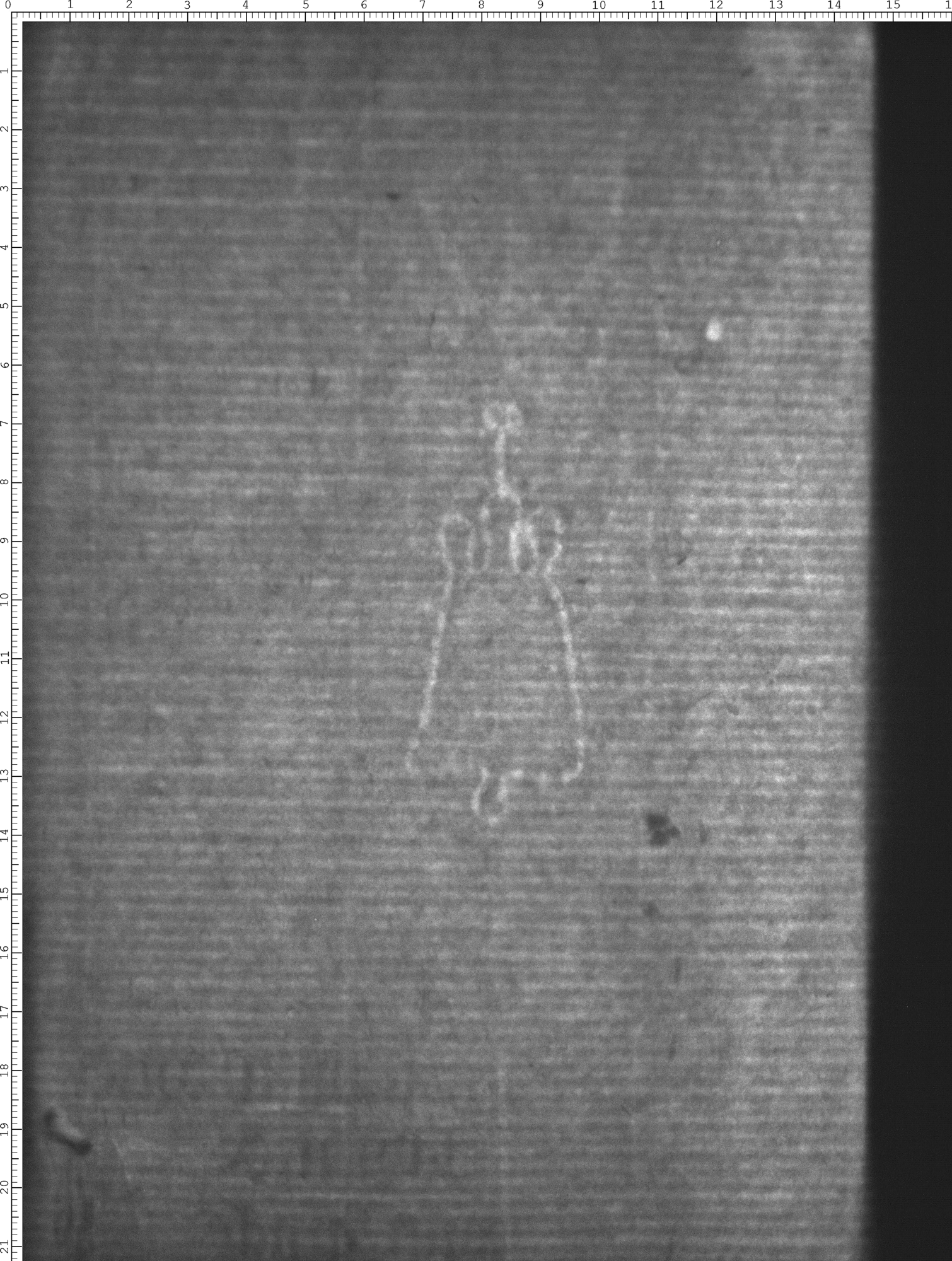 Watermark