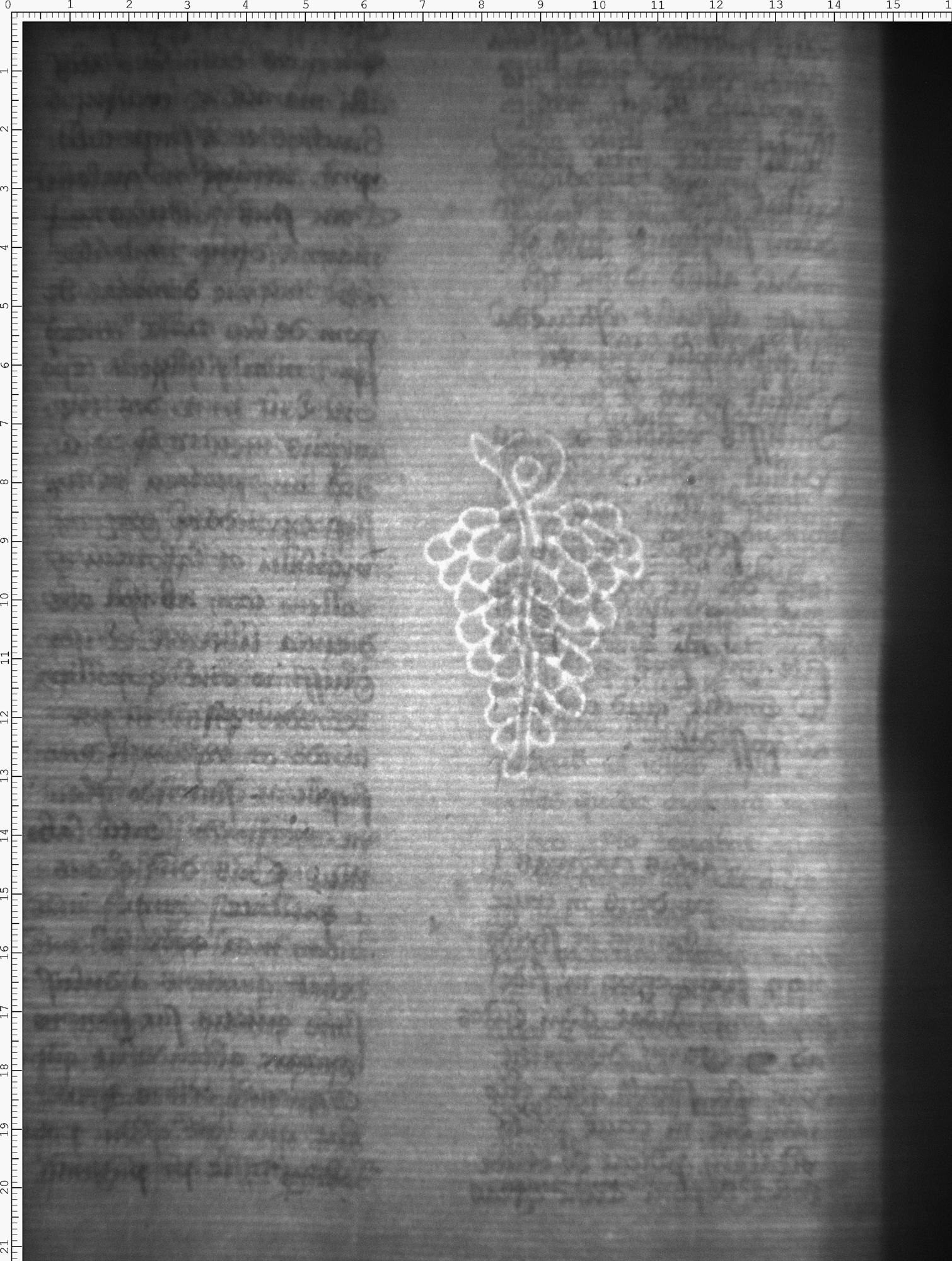 Watermark